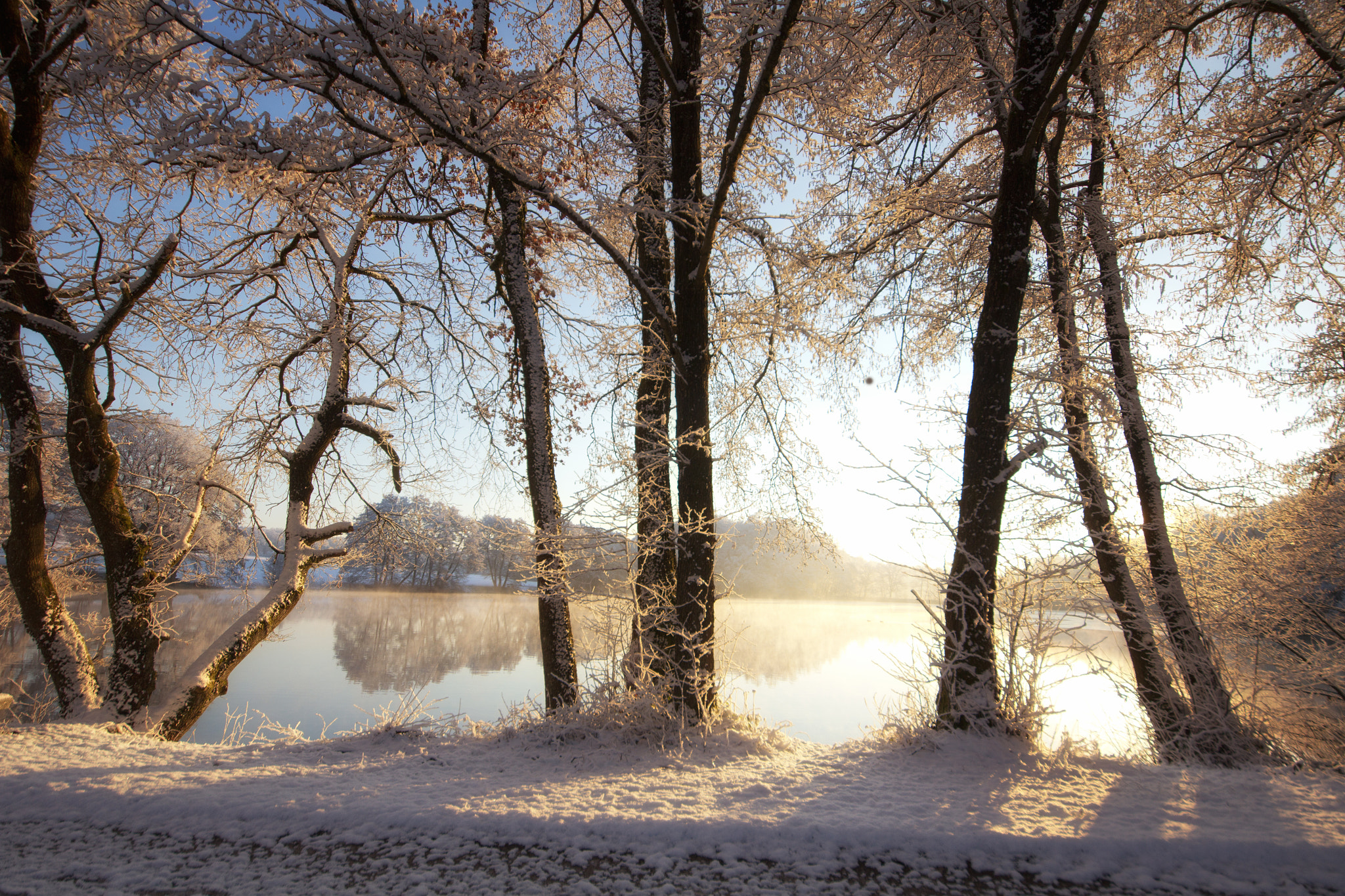 Sigma 12-24mm F4.5-5.6 II DG HSM sample photo. Bonfol photography