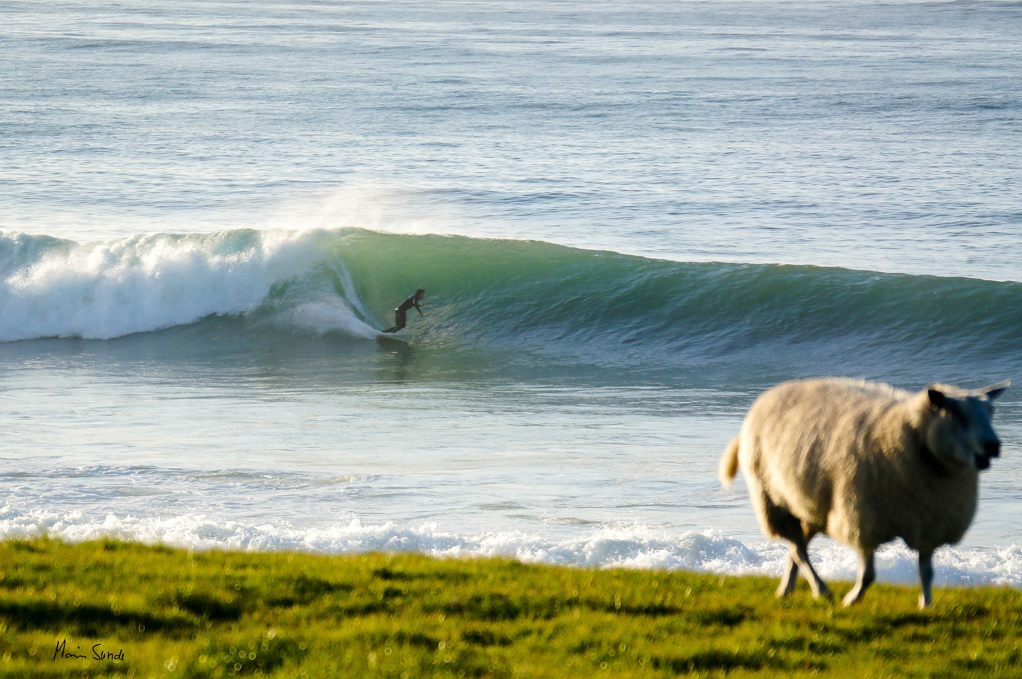 Sony 70-300mm F4.5-5.6 G SSM sample photo. Farmers surf spot photography