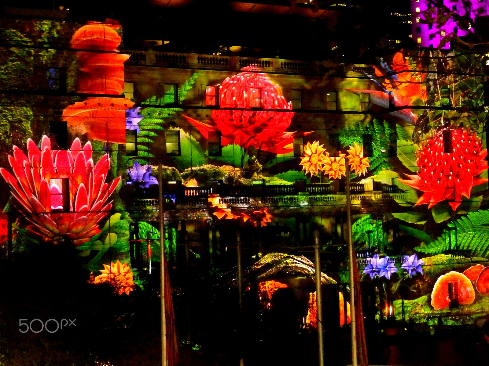 Olympus SZ-16,DZ-105 sample photo. Vivid sydney photography