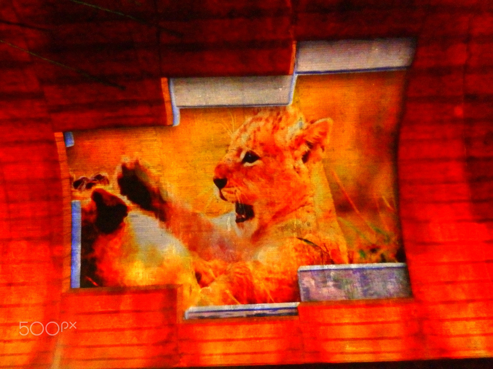Olympus SZ-16,DZ-105 sample photo. Vivid sydney photography
