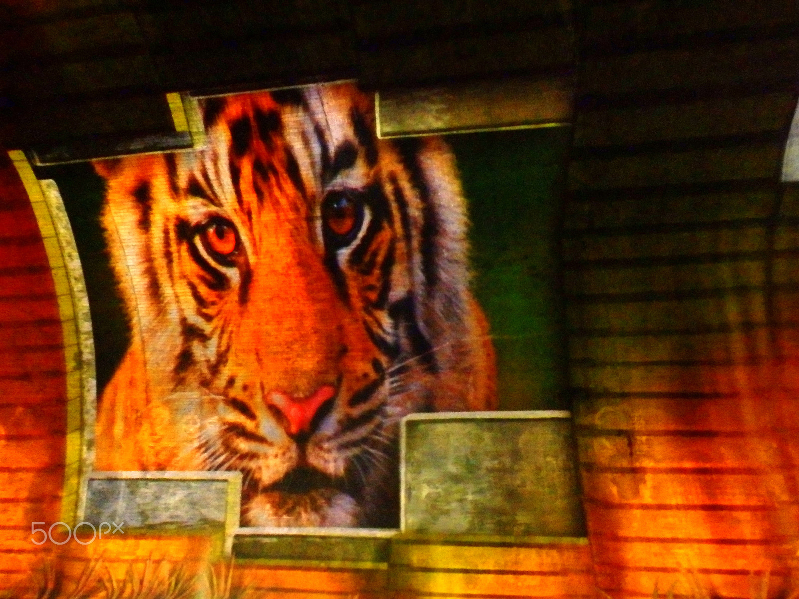 Olympus SZ-16,DZ-105 sample photo. Vivid sydney photography