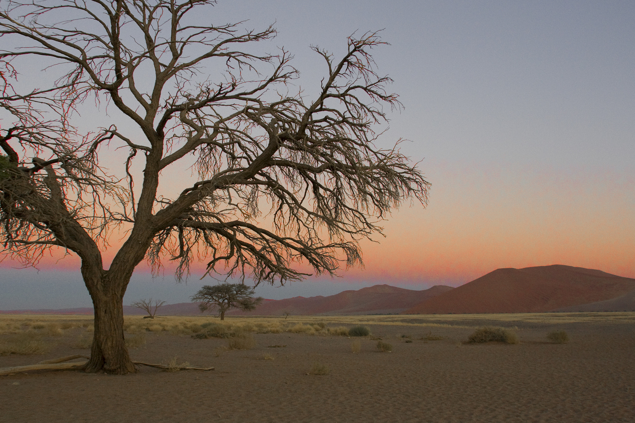 Canon EF 17-35mm f/2.8L sample photo. F namib desert alba photography