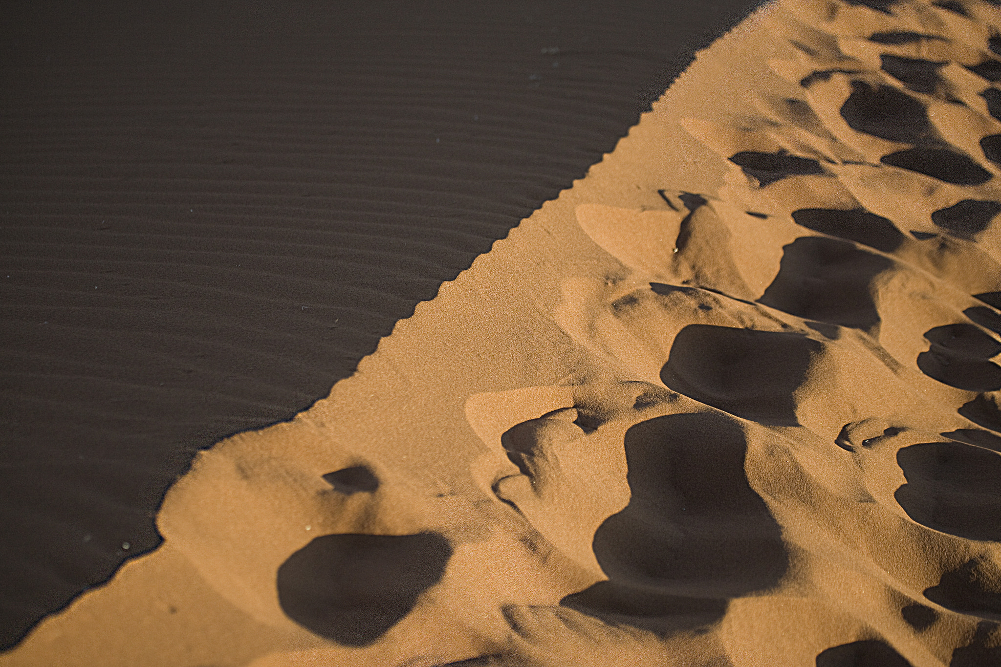 Canon EF 100-400mm F4.5-5.6L IS USM sample photo. F namib desert tracce photography