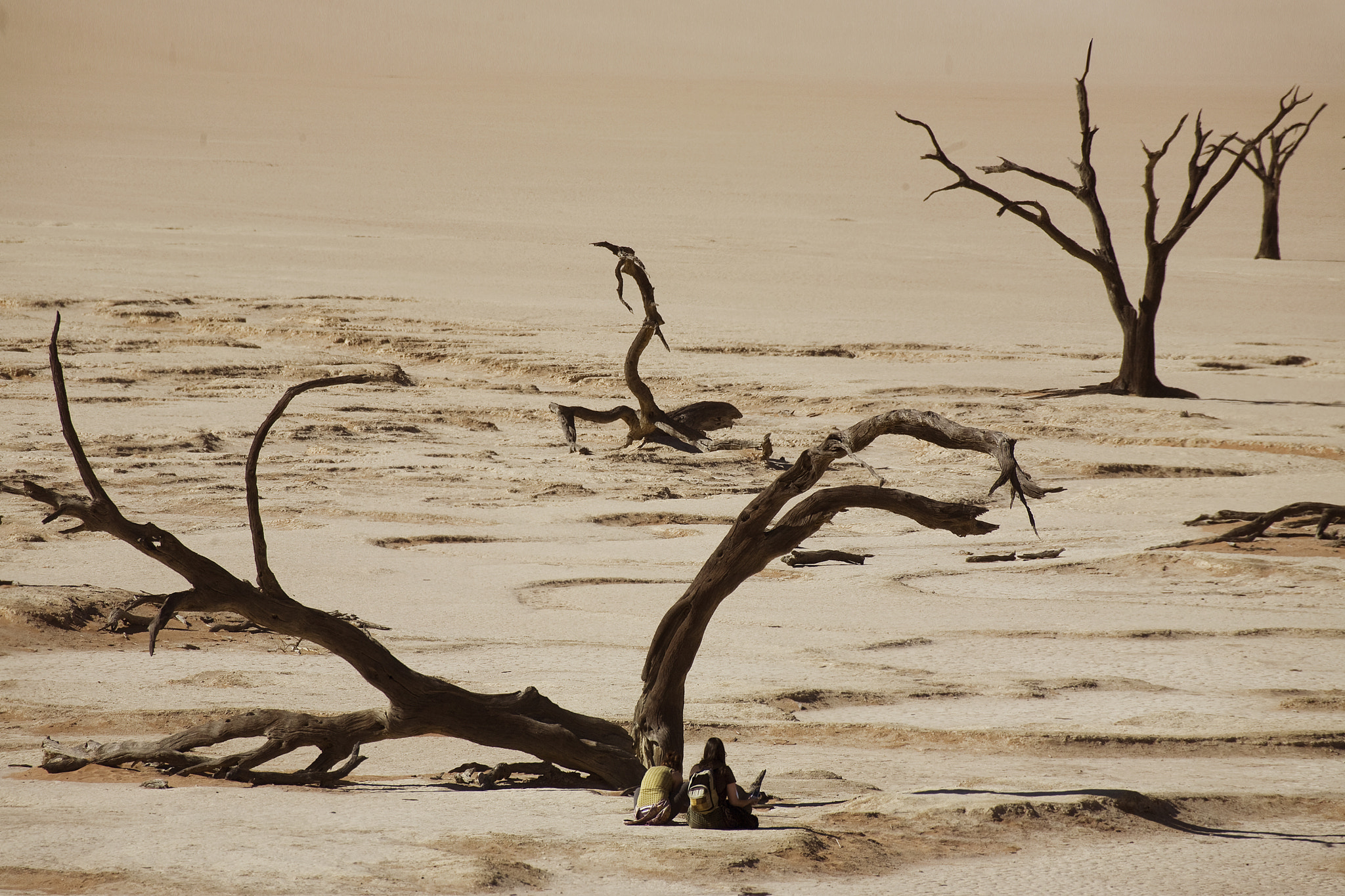 Canon EF 100-400mm F4.5-5.6L IS USM sample photo. F nabmib dead vlei photography
