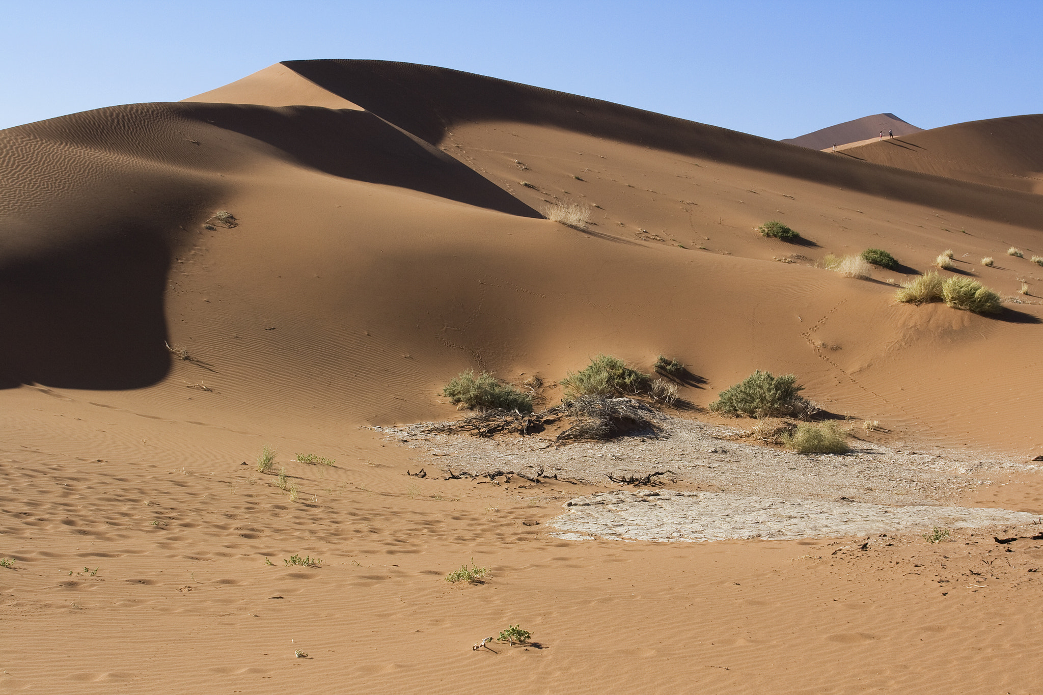 Canon EF 17-35mm f/2.8L sample photo. F namib desert dune photography