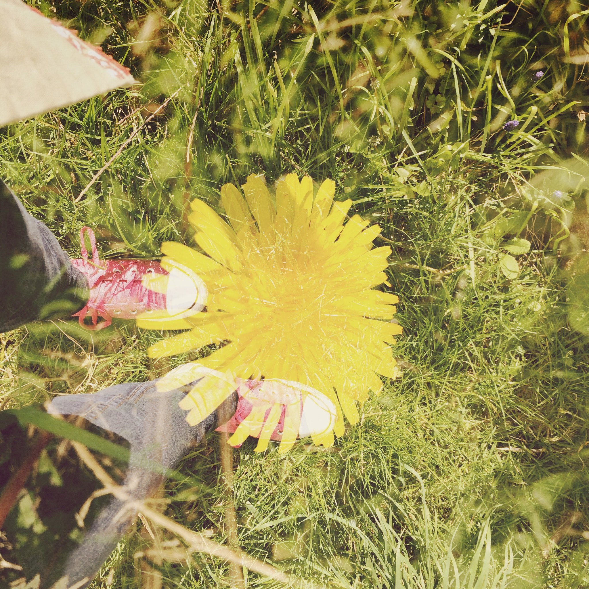Hipstamatic 311 sample photo. Doubled up photography