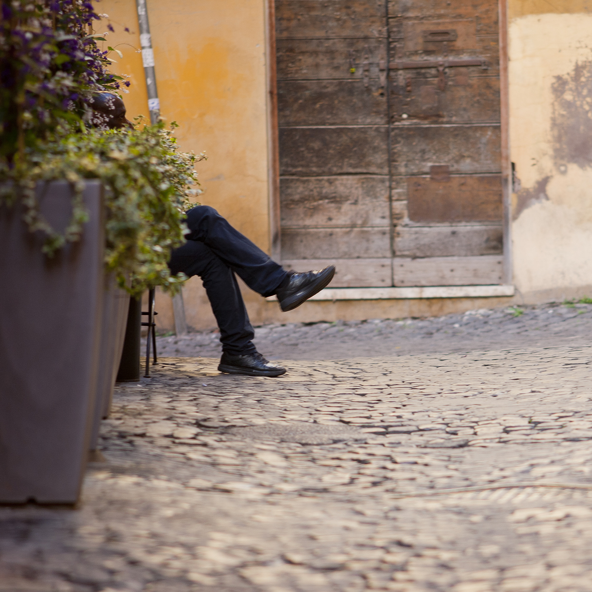 Canon EOS 5D + Canon EF 200mm F2.8L II USM sample photo. Just chillin' photography