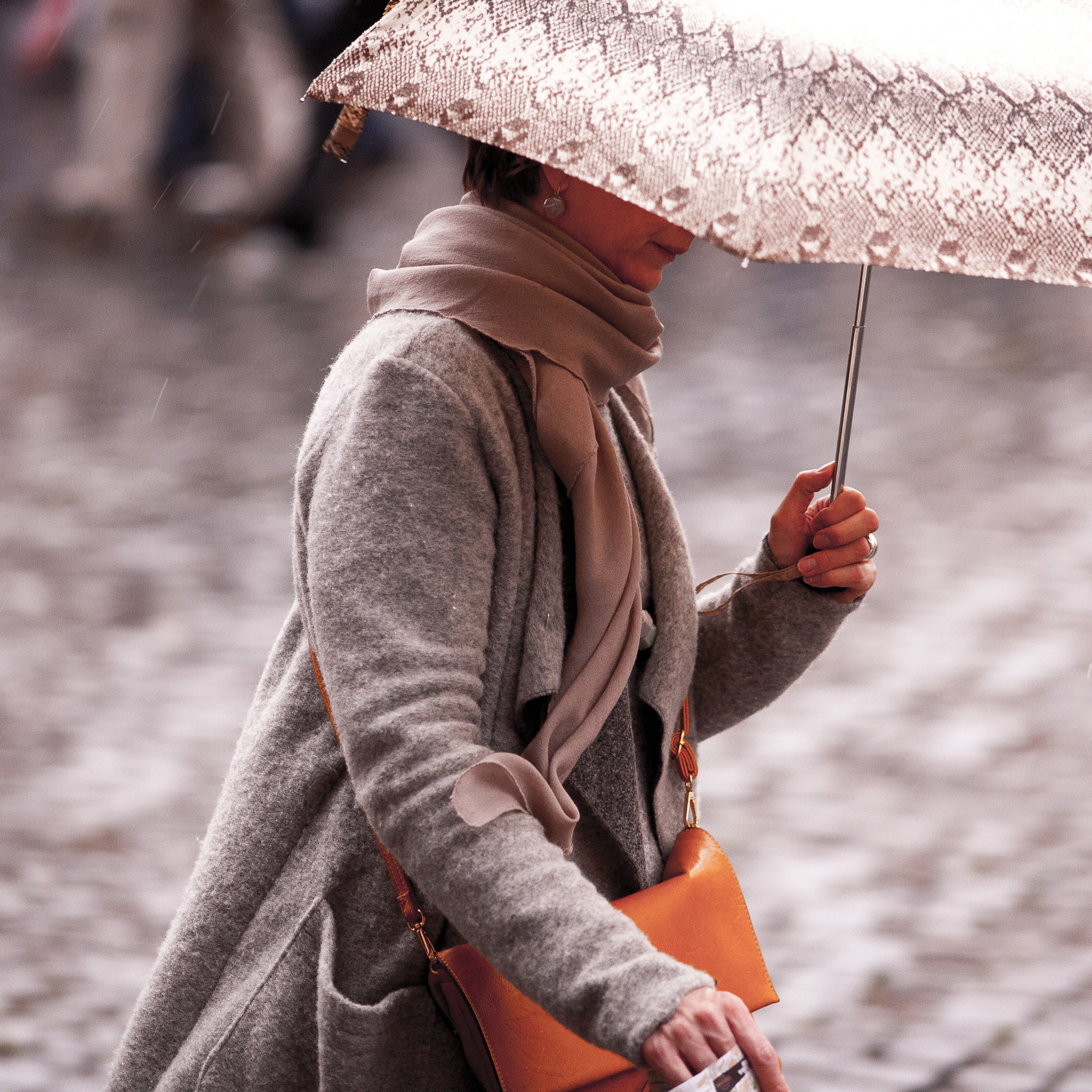 Canon EOS 5D + Canon EF 200mm F2.8L II USM sample photo. Rain in the city photography