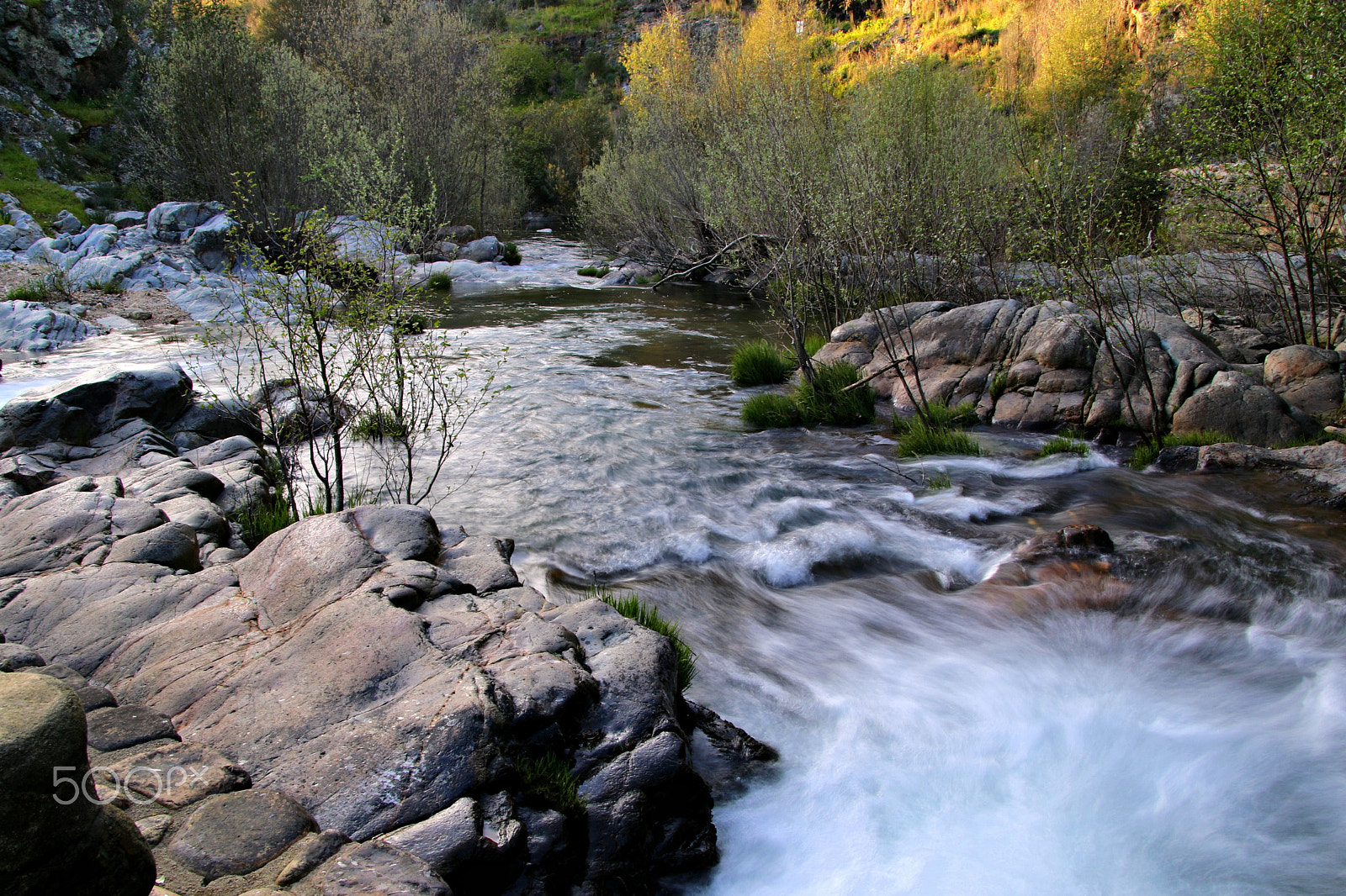 Canon TS-E 90mm F2.8 Tilt-Shift sample photo. Walking by the river photography