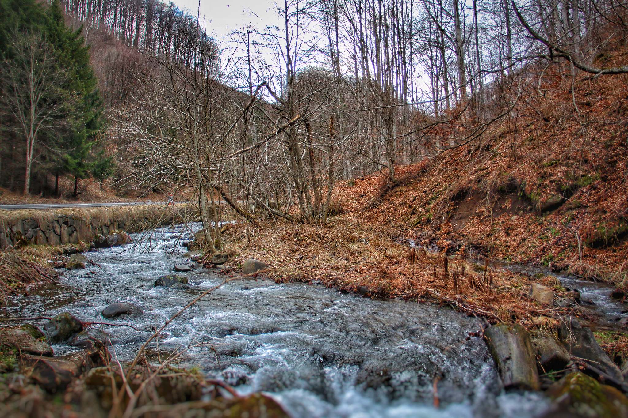Sigma 18-125mm F3.8-5.6 DC OS HSM sample photo. Nature photography