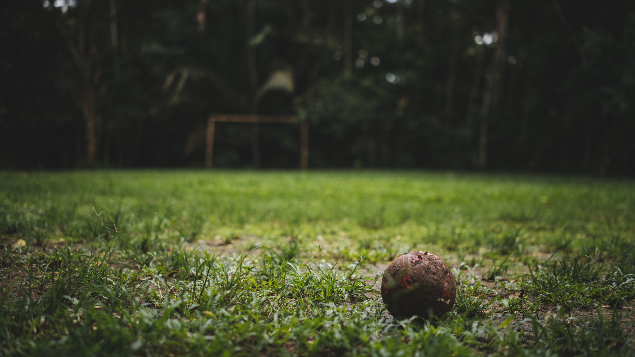 Nikon D810 + ZEISS Milvus 50mm F1.4 sample photo. South american people really love playing football, they even have this in the jungle! photography