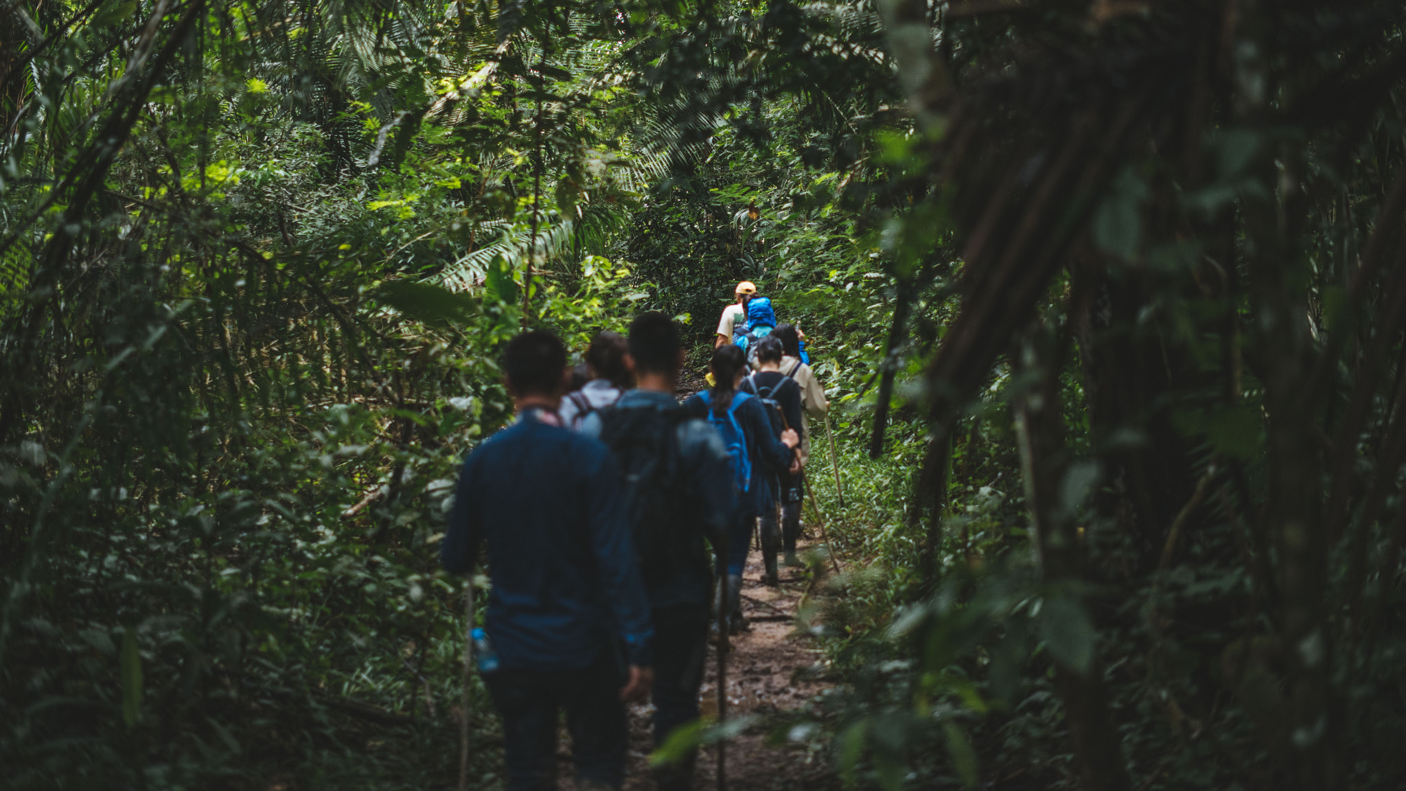 ZEISS Milvus 50mm F1.4 sample photo. Jungle tour in puerto maldonado, peru photography