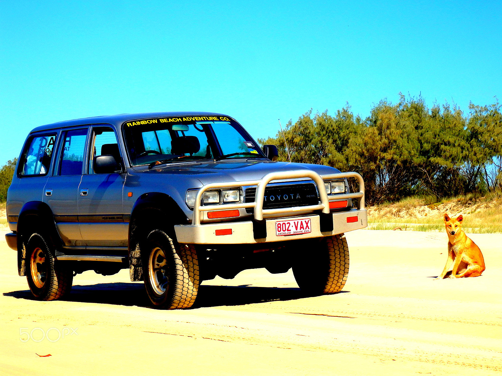 Olympus SZ-16,DZ-105 sample photo. Fraser island, australia photography