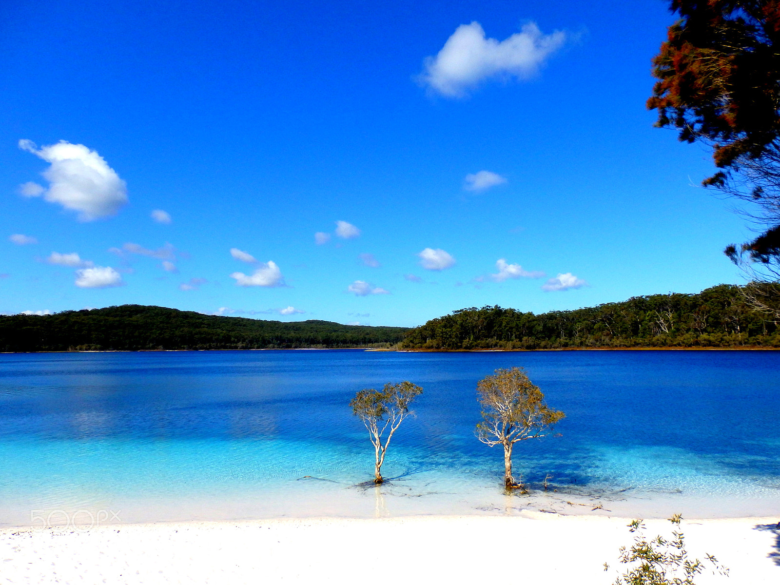 Olympus SZ-16,DZ-105 sample photo. Fraser island, australia photography