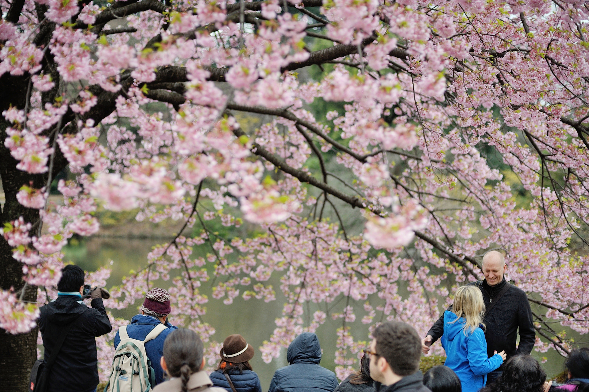 Nikon D700 + Voigtlander Nokton 58mm F1.4 SLII sample photo. Spring for tokyoite and visitors photography