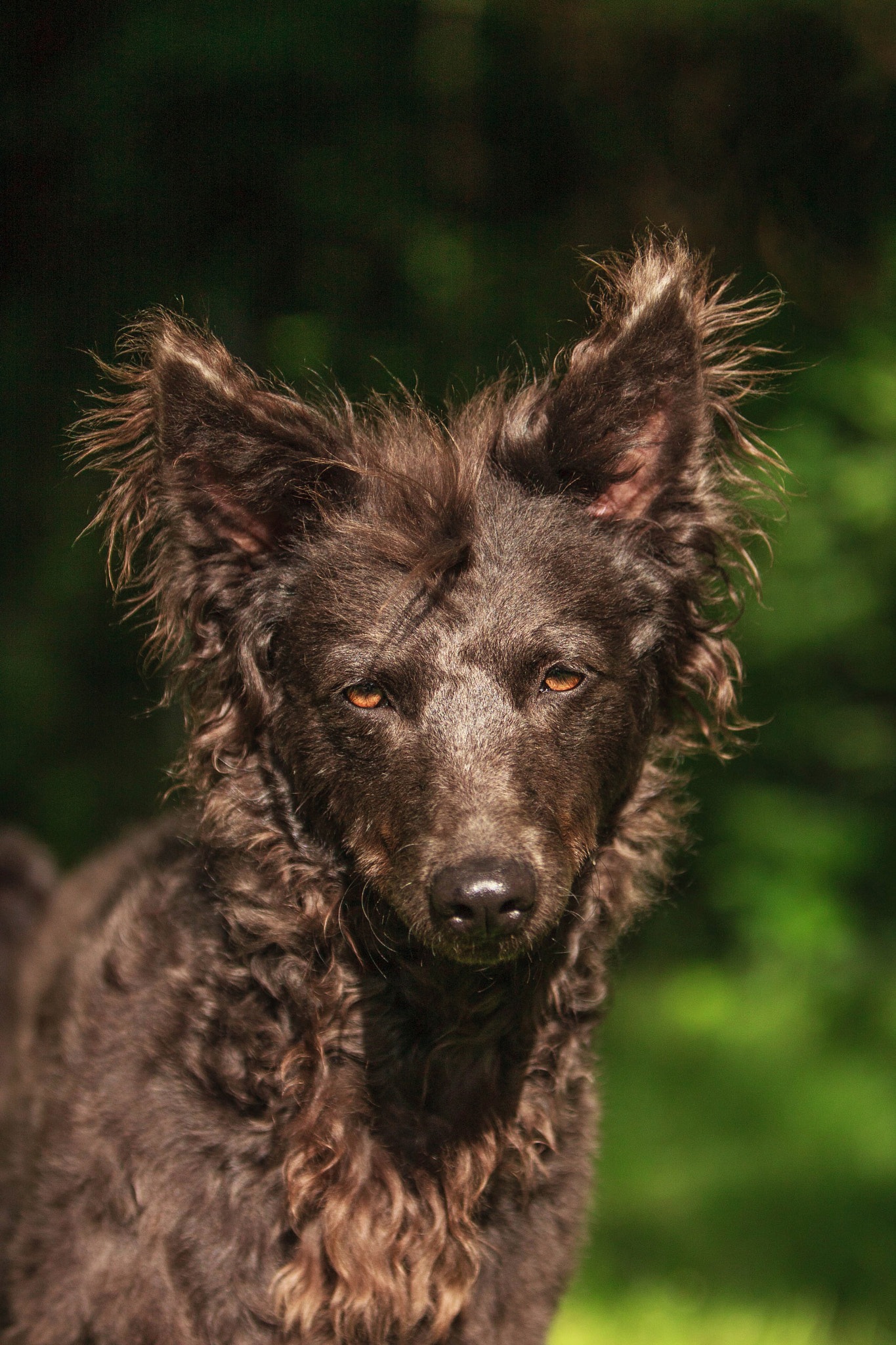 Canon EF 70-200mm F2.8L IS USM sample photo. Mudi photography