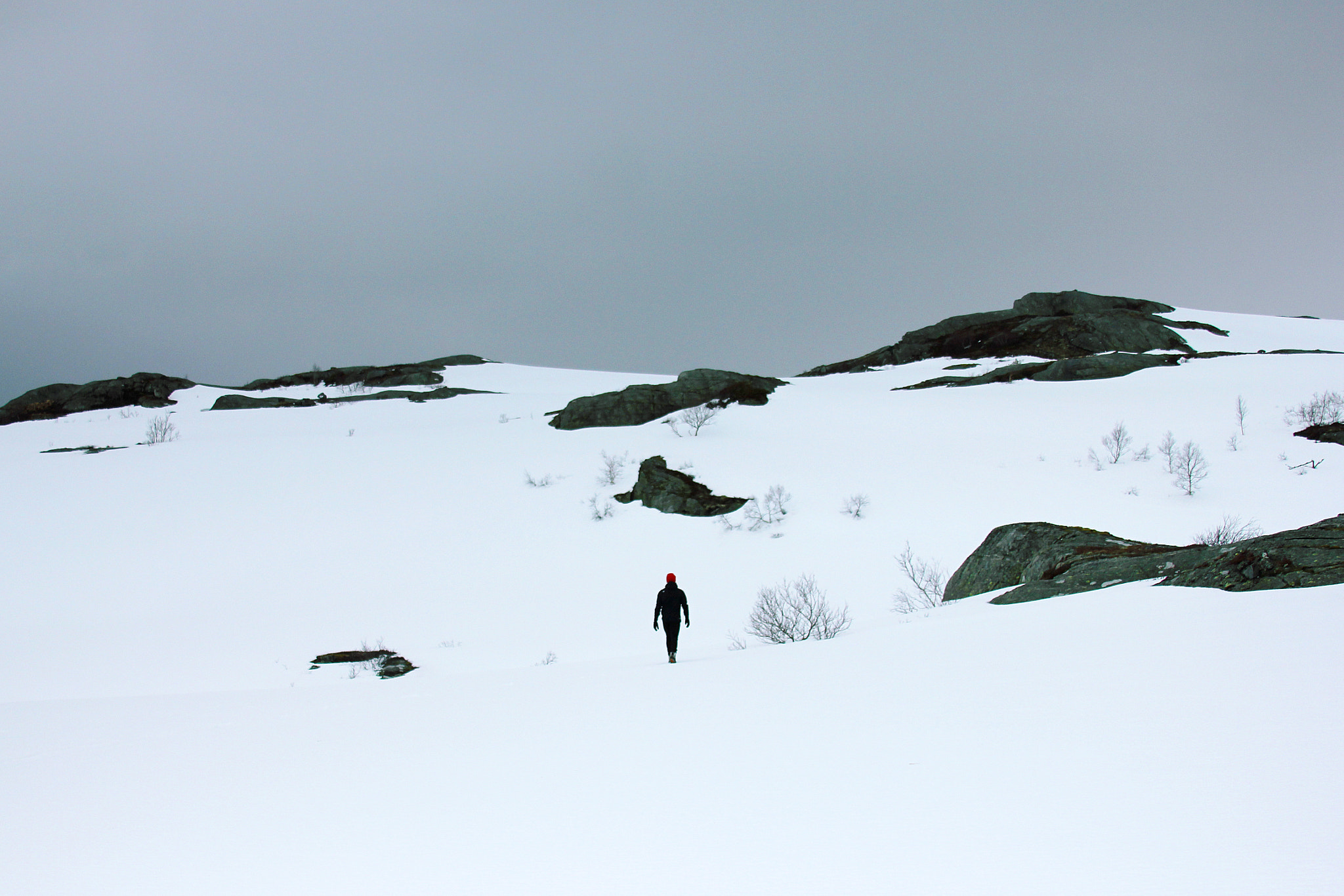Canon EF 28-135mm F3.5-5.6 IS USM sample photo. Snowy wasteland photography