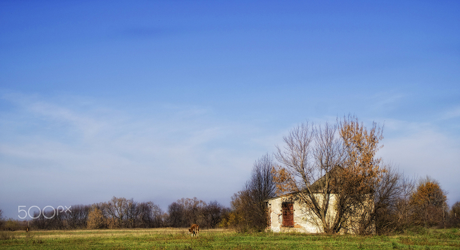 Sony SLT-A35 sample photo. 2d photography