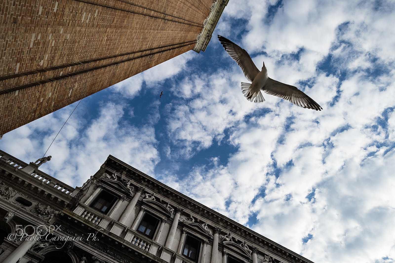 Nikon Df + Nikon AF-S Nikkor 24mm F1.4G ED sample photo. Throwing eyes to the sky photography