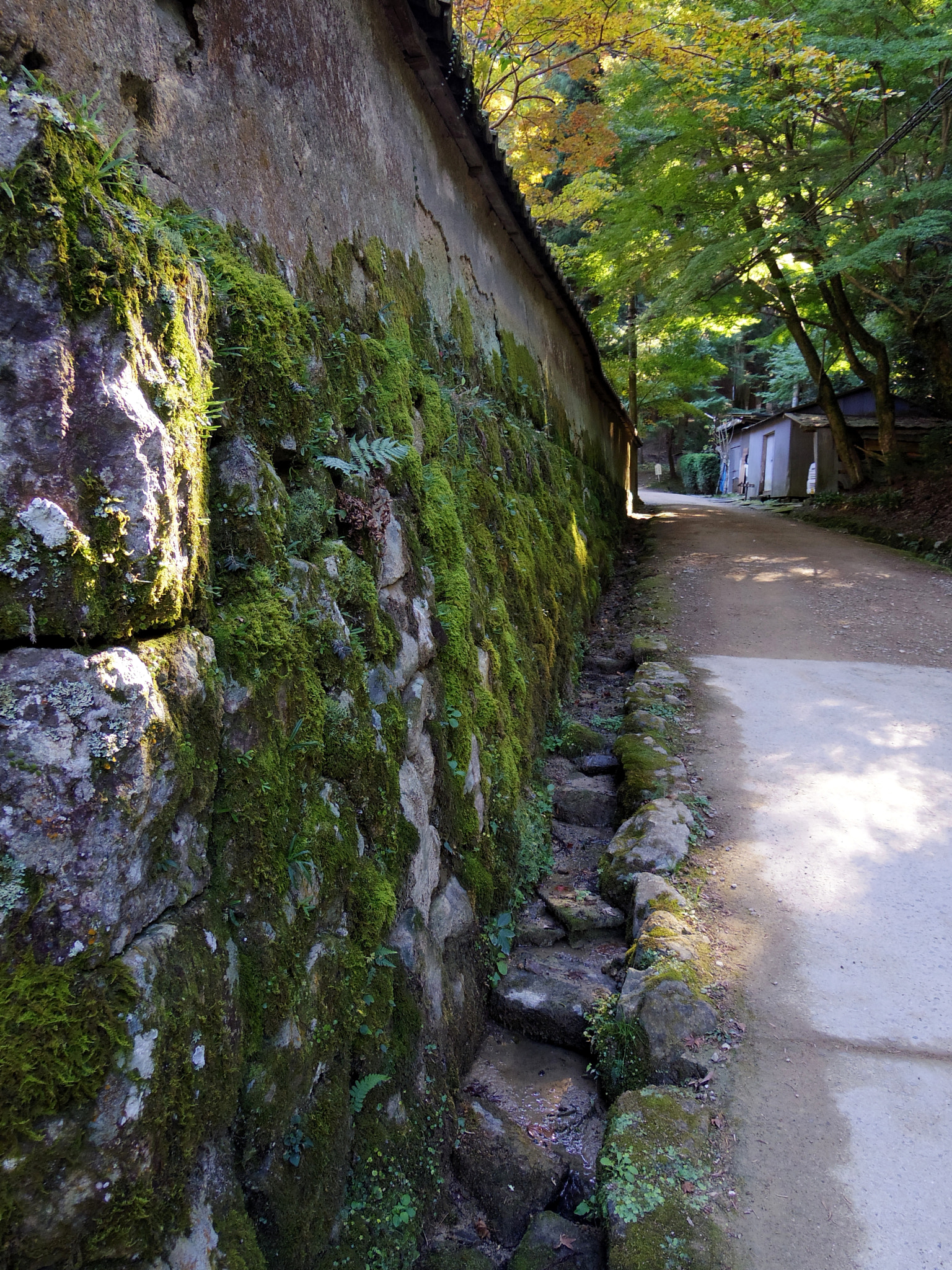Pentax 02 Standard Zoom sample photo. The wall photography