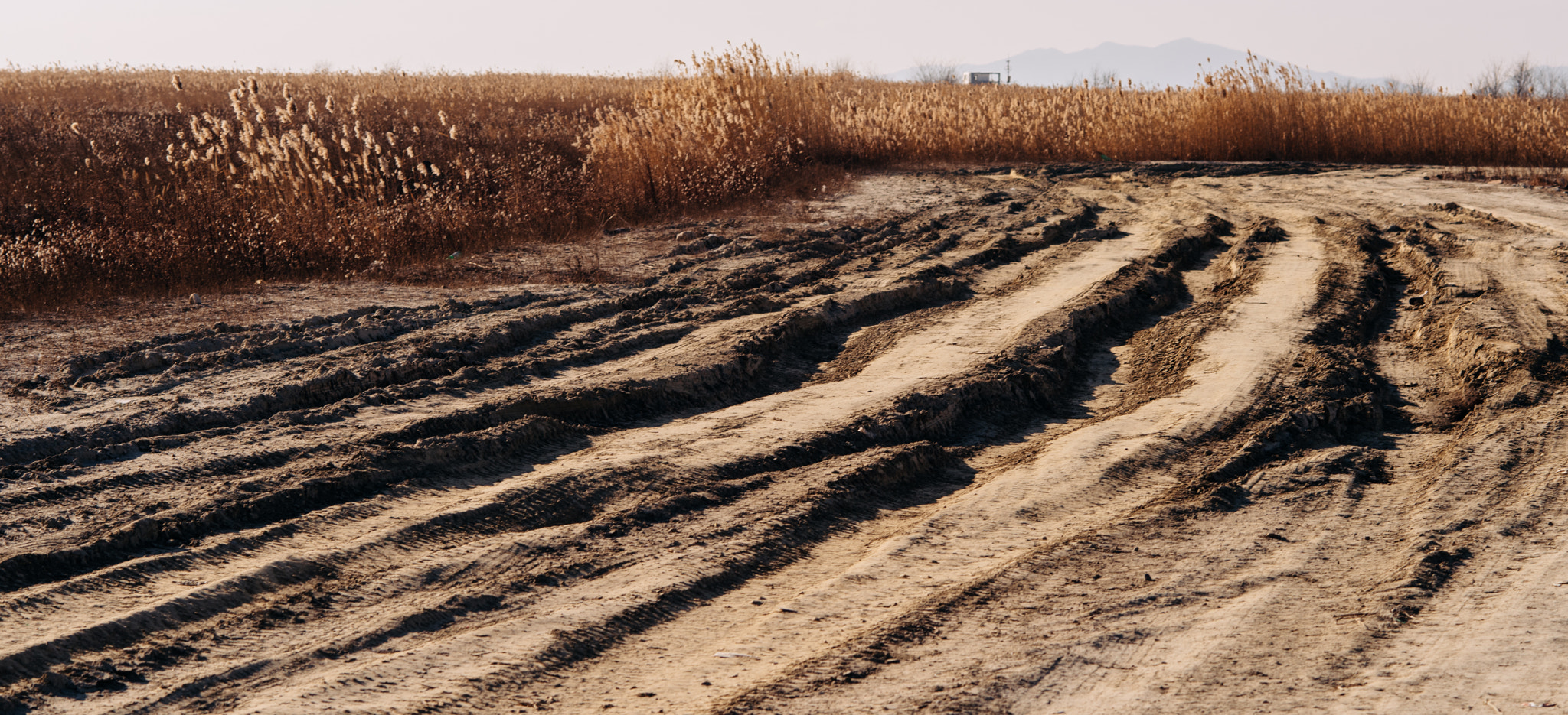 Nikon D810 + Nikon AF Nikkor 105mm F2D DC sample photo. The trace of trucks on the wilderness photography