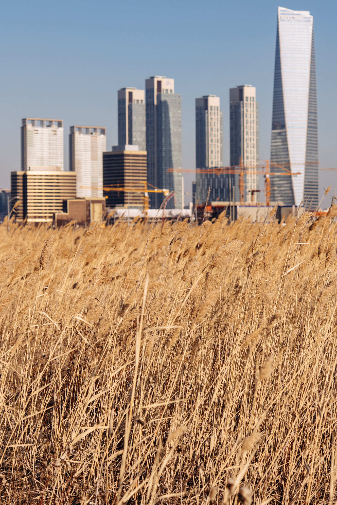 Nikon D810 + Nikon AF Nikkor 105mm F2D DC sample photo. The wilderness and skyscrapers at songdo photography