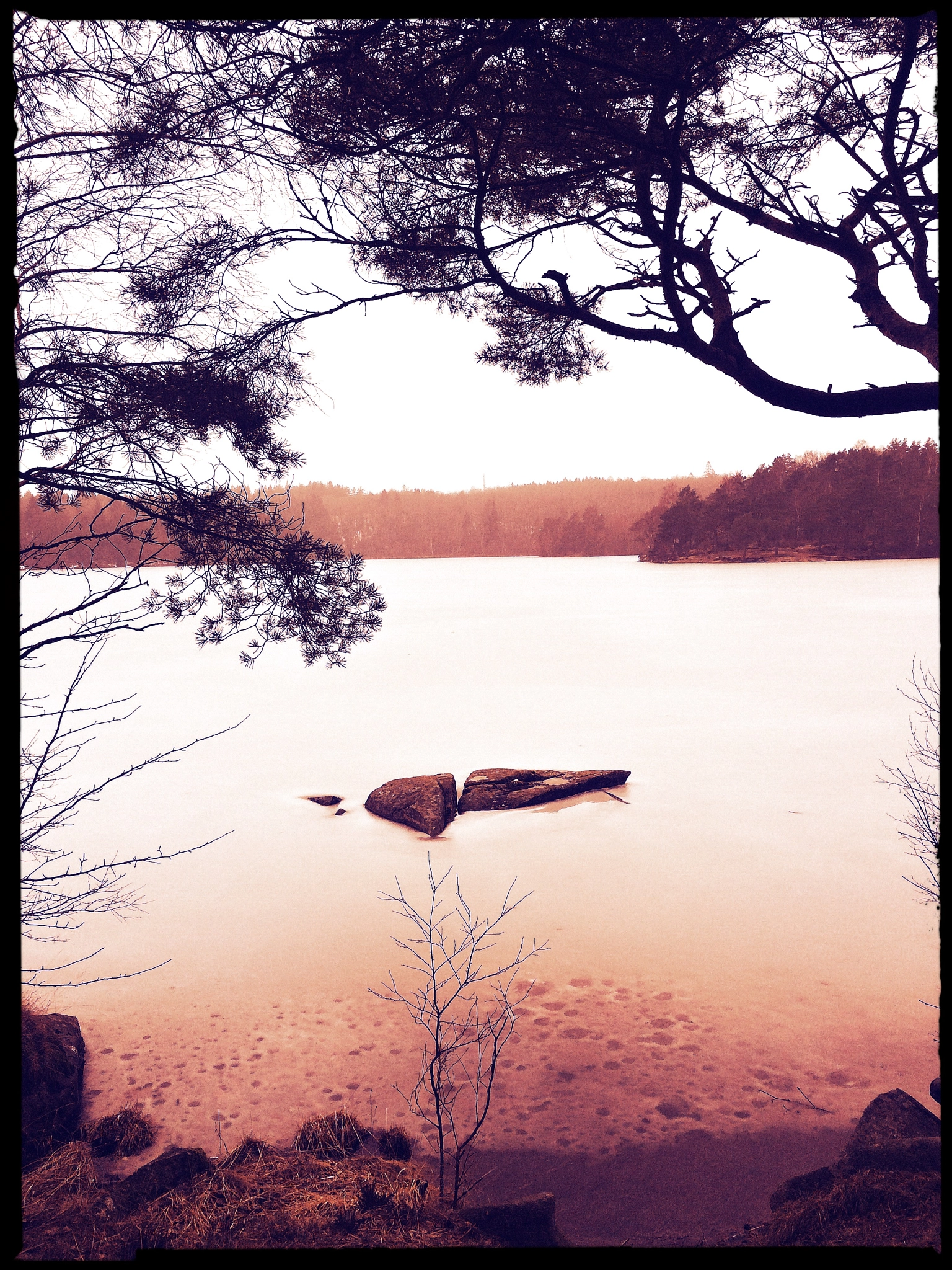 Hipstamatic 311 sample photo. Lake kåsjön photography