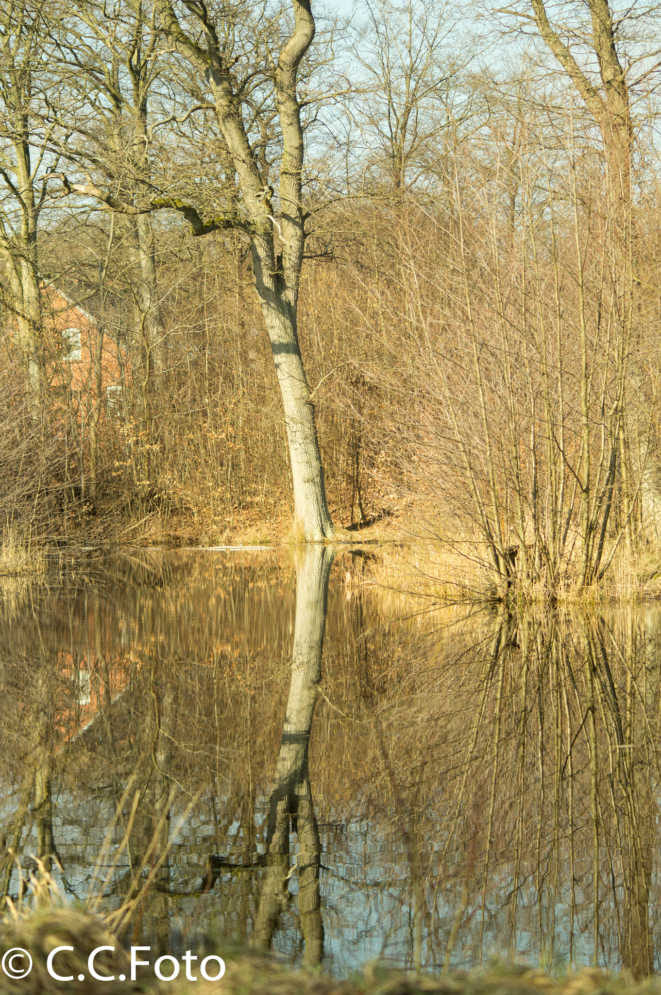 Sigma 70-300mm F4-5.6 DL Macro sample photo. Sorø og dianalund photography