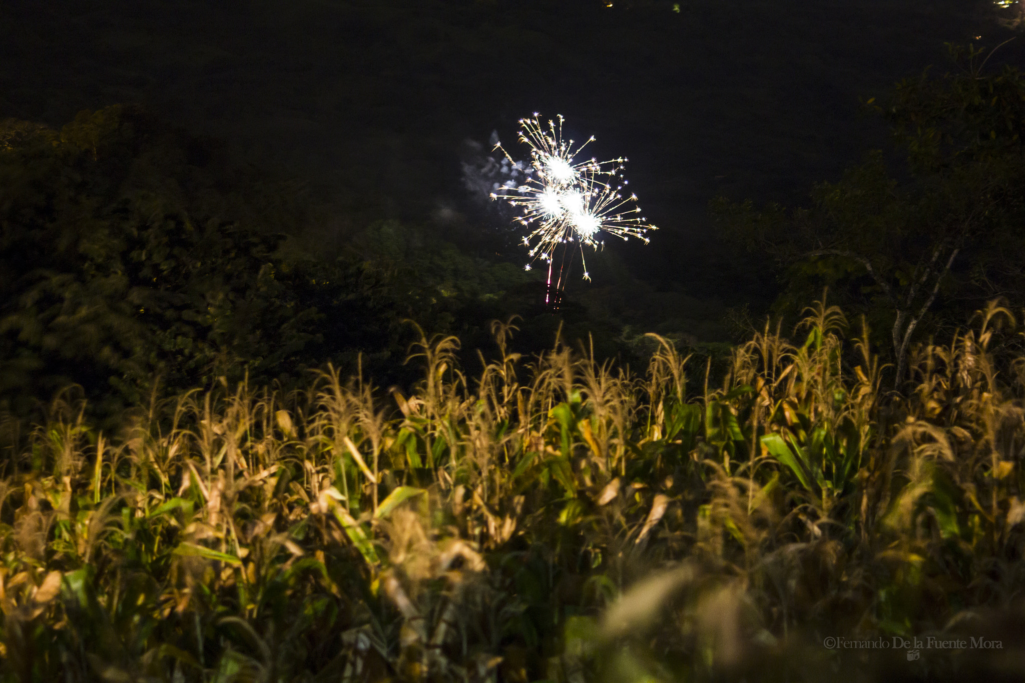 Canon EOS 550D (EOS Rebel T2i / EOS Kiss X4) sample photo. Fireworks on the hill photography