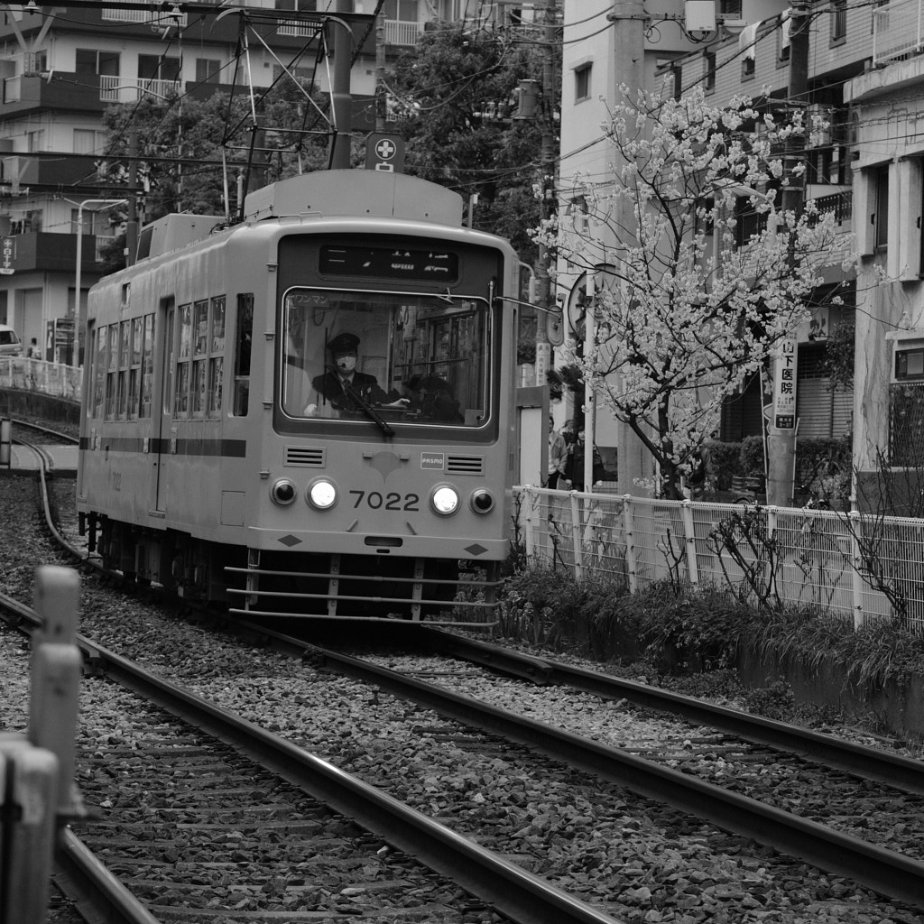 Tokyo tram by Joe Motohashi on 500px.com
