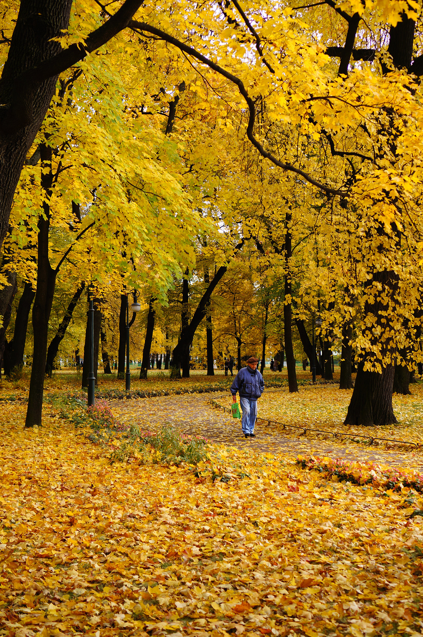 Sony E 35mm F1.8 OSS sample photo. Autumn. photography