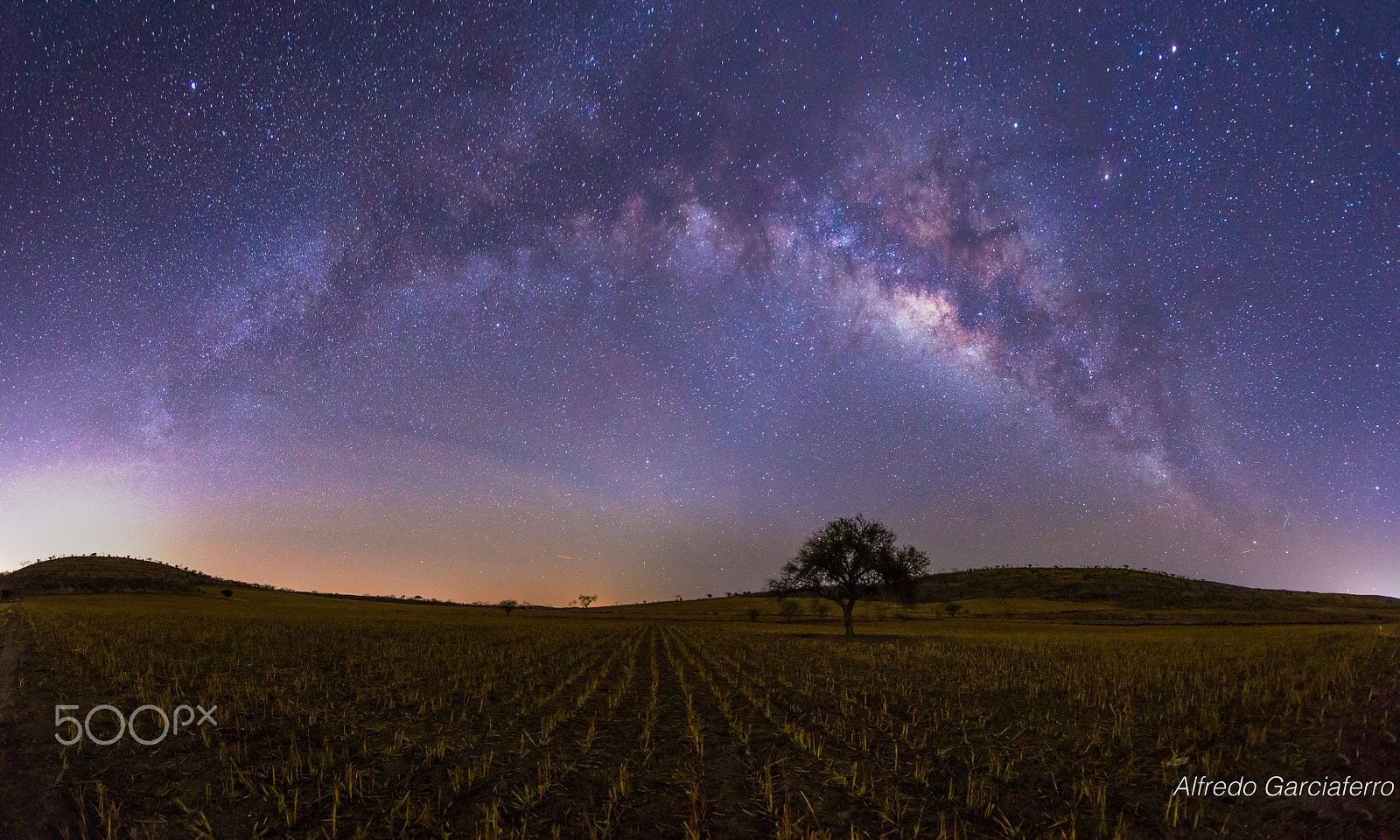 Canon EOS 6D + Canon EF 16-35mm F2.8L USM sample photo. Galactic tree photography