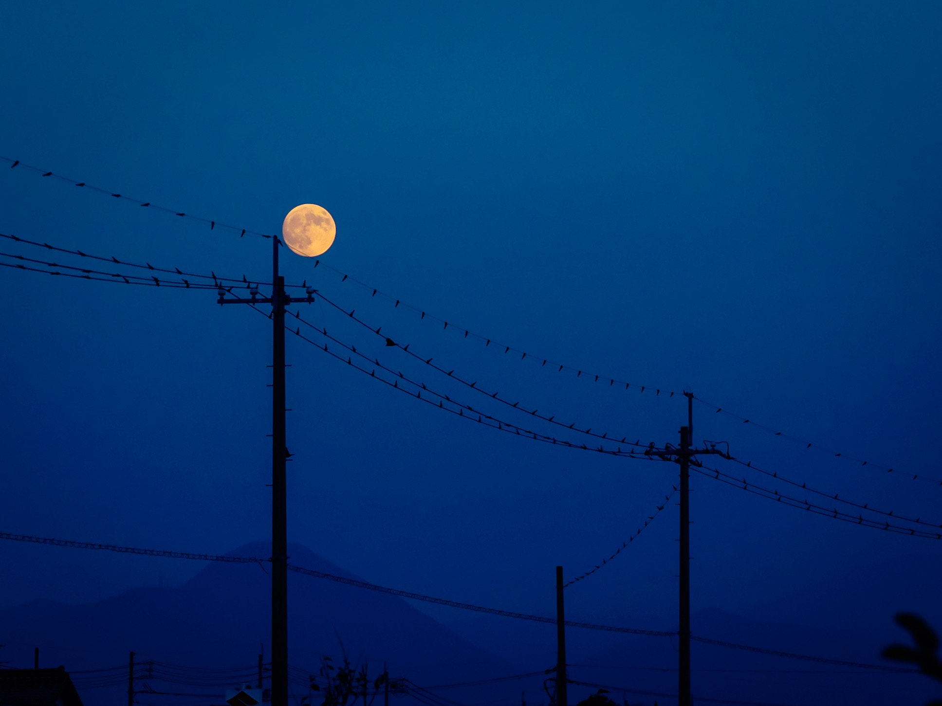Olympus OM-D E-M5 + Olympus M.Zuiko Digital ED 75mm F1.8 sample photo. Full moon photography
