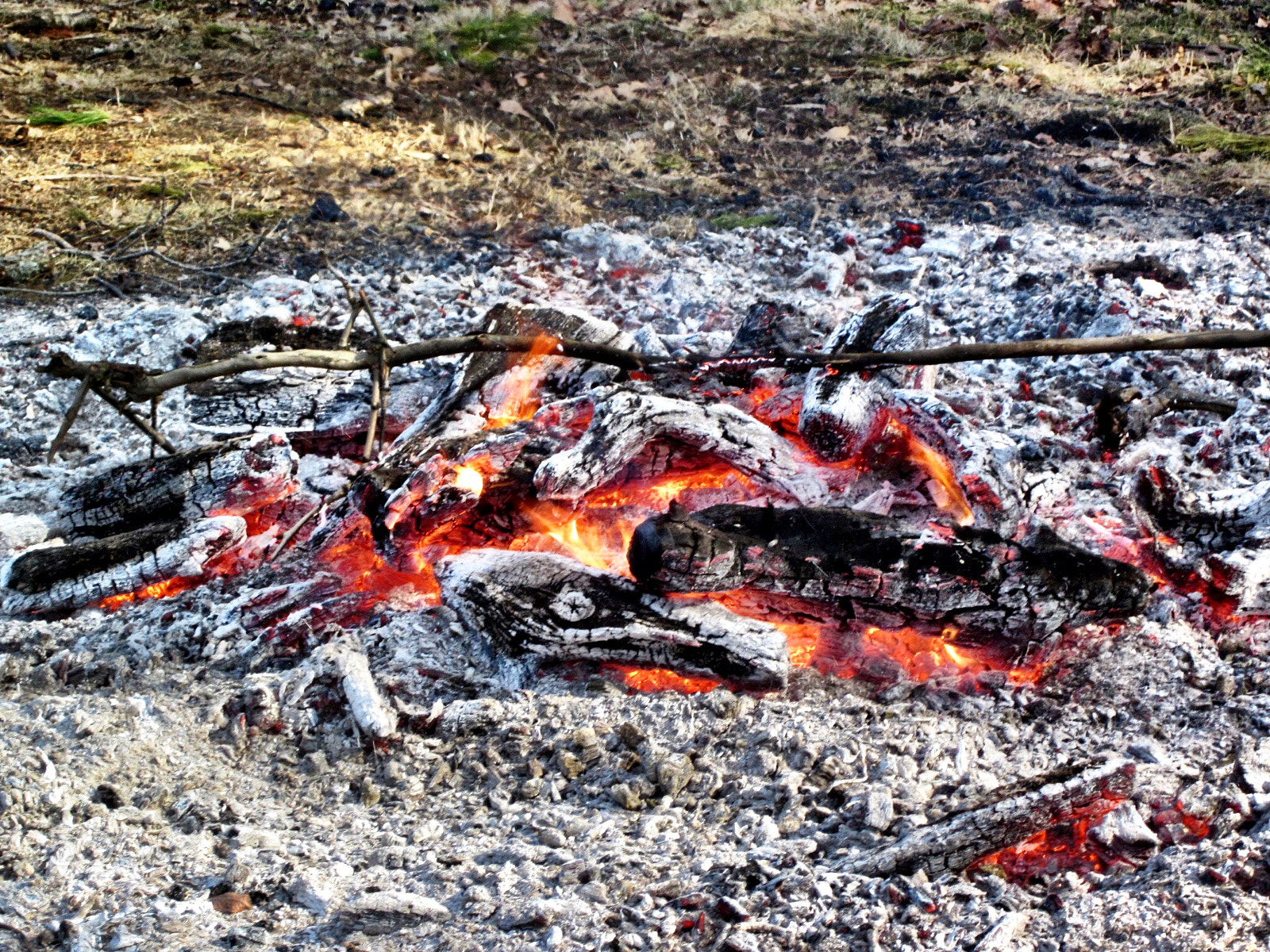 Canon PowerShot SD1300 IS (IXUS 105 / IXY 200F) sample photo. Remnants of brush fire photography