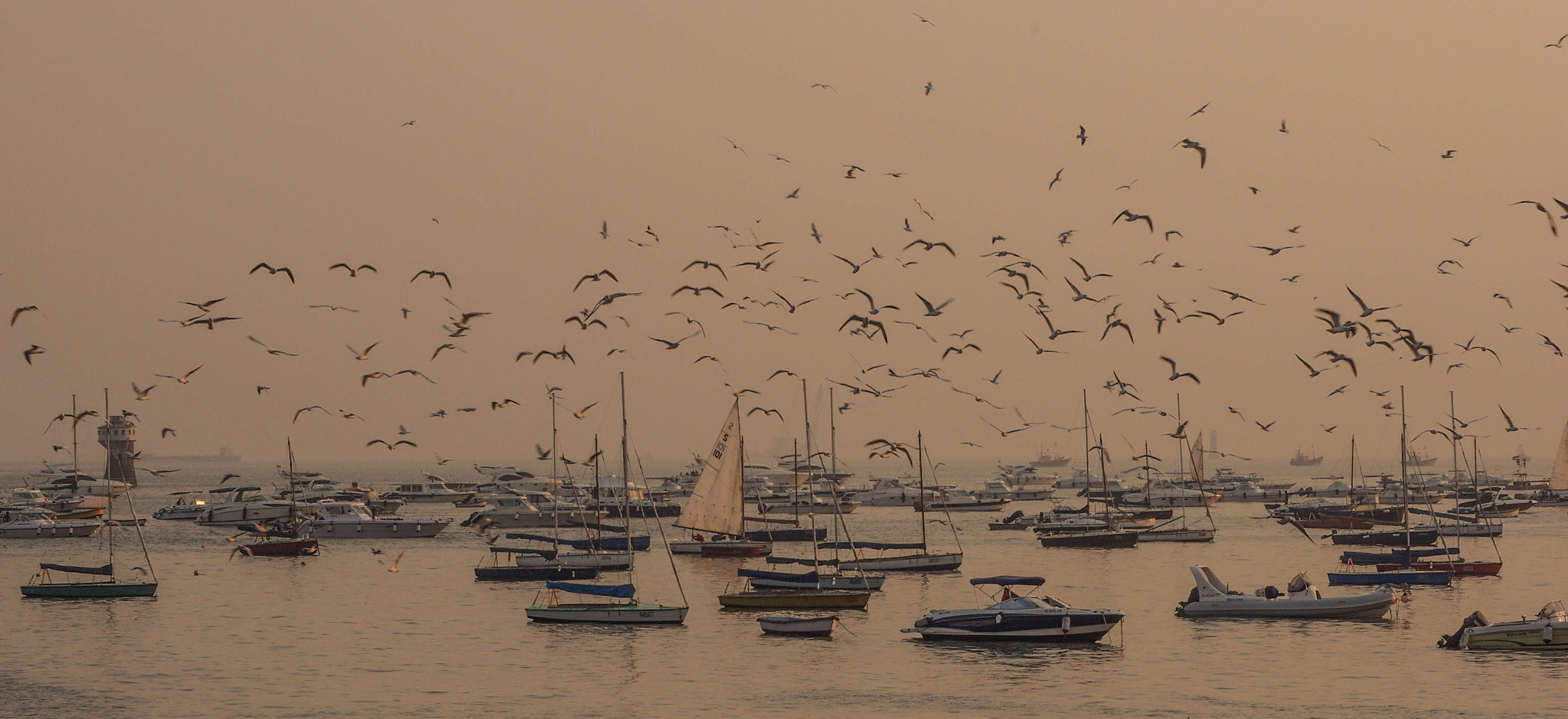 Pentax K200D + Sigma sample photo. Let's call it a day photography