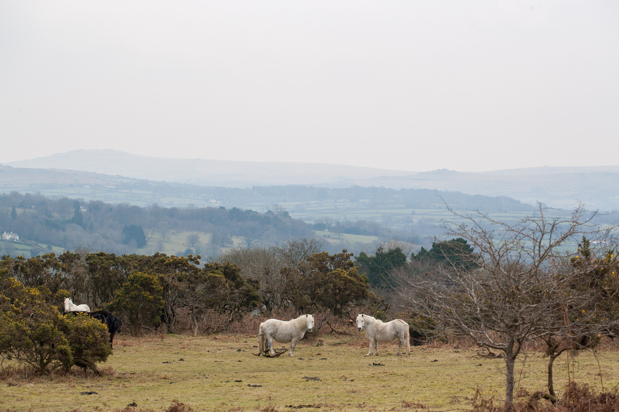 Canon EOS-1Ds Mark II sample photo. This set of images are apart of my final major project at plymouth university. i am aiming to... photography