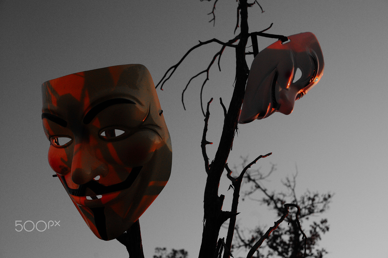 Nikon D300S + Sigma 30mm F1.4 EX DC HSM sample photo. Masks in trees photography