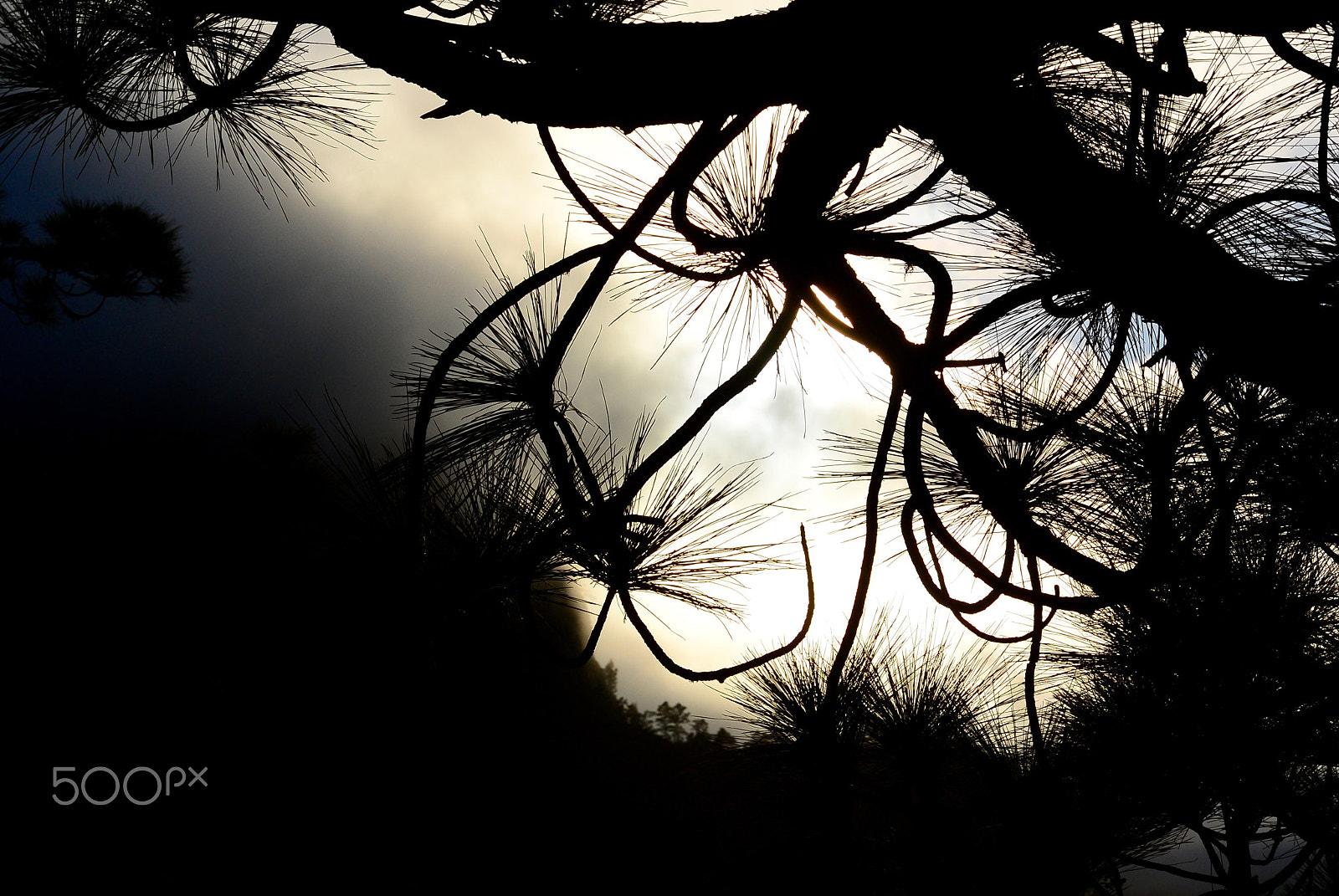 Nikon 1 S1 sample photo. Where clouds are made photography
