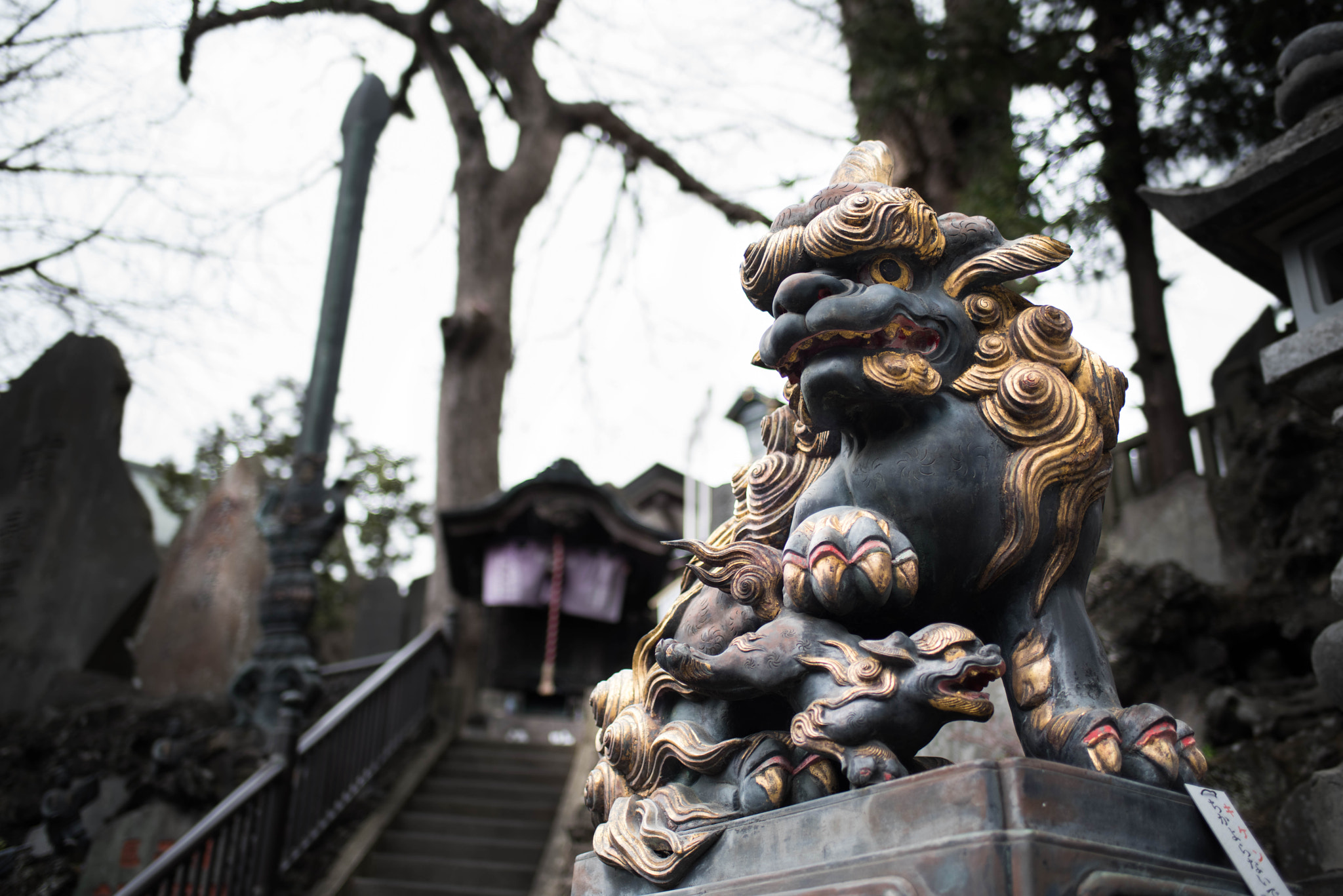 AF-S Nikkor 35mm f/1.8G sample photo. Komainu photography