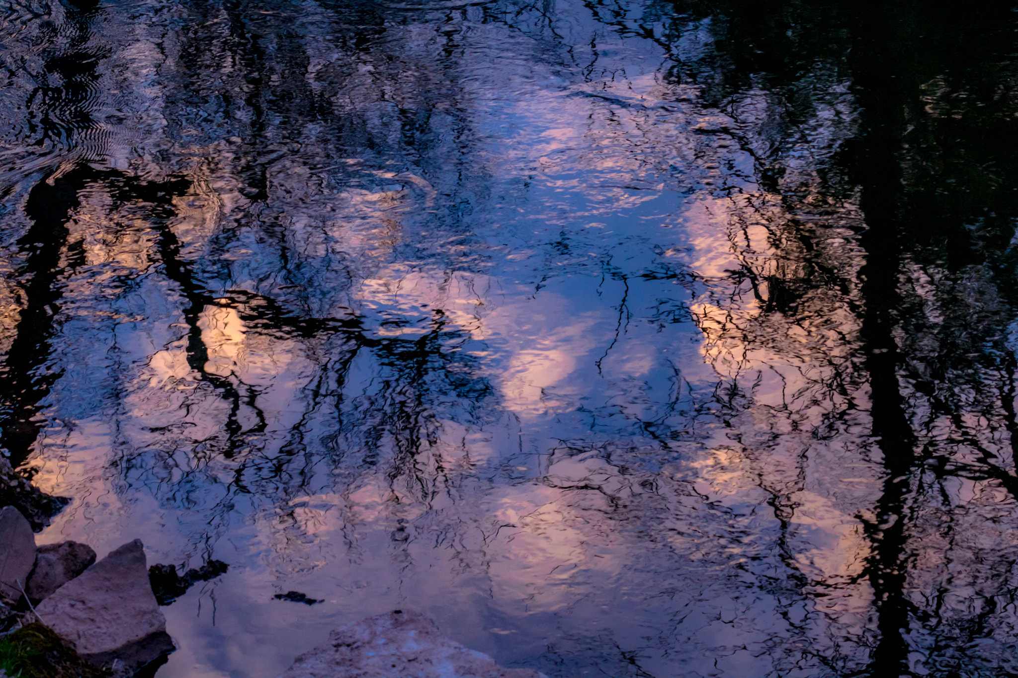 Canon EF 100-400mm F4.5-5.6L IS USM sample photo. Monet on the water photography