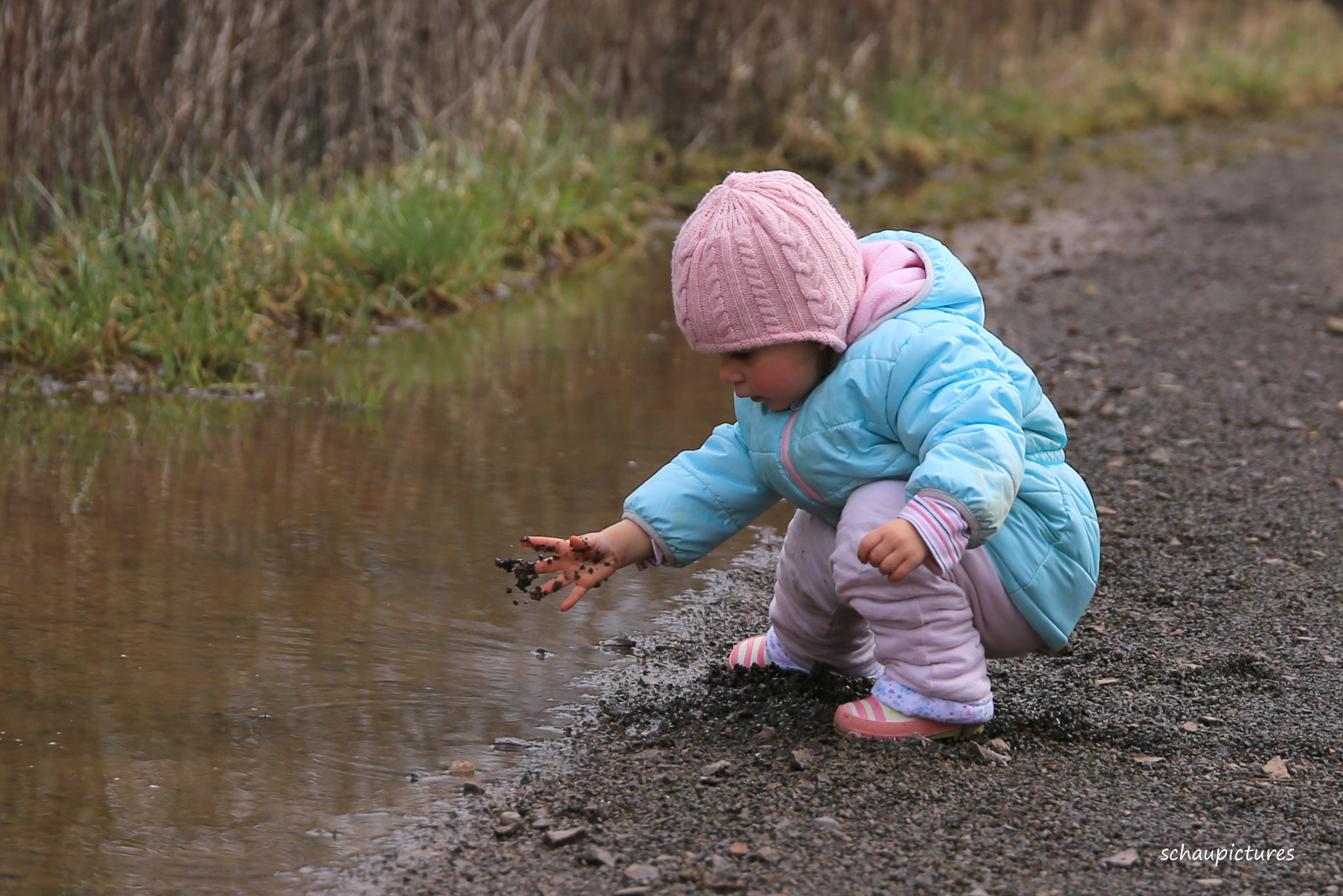 Canon EF 500mm F4L IS USM sample photo. At the puddle photography