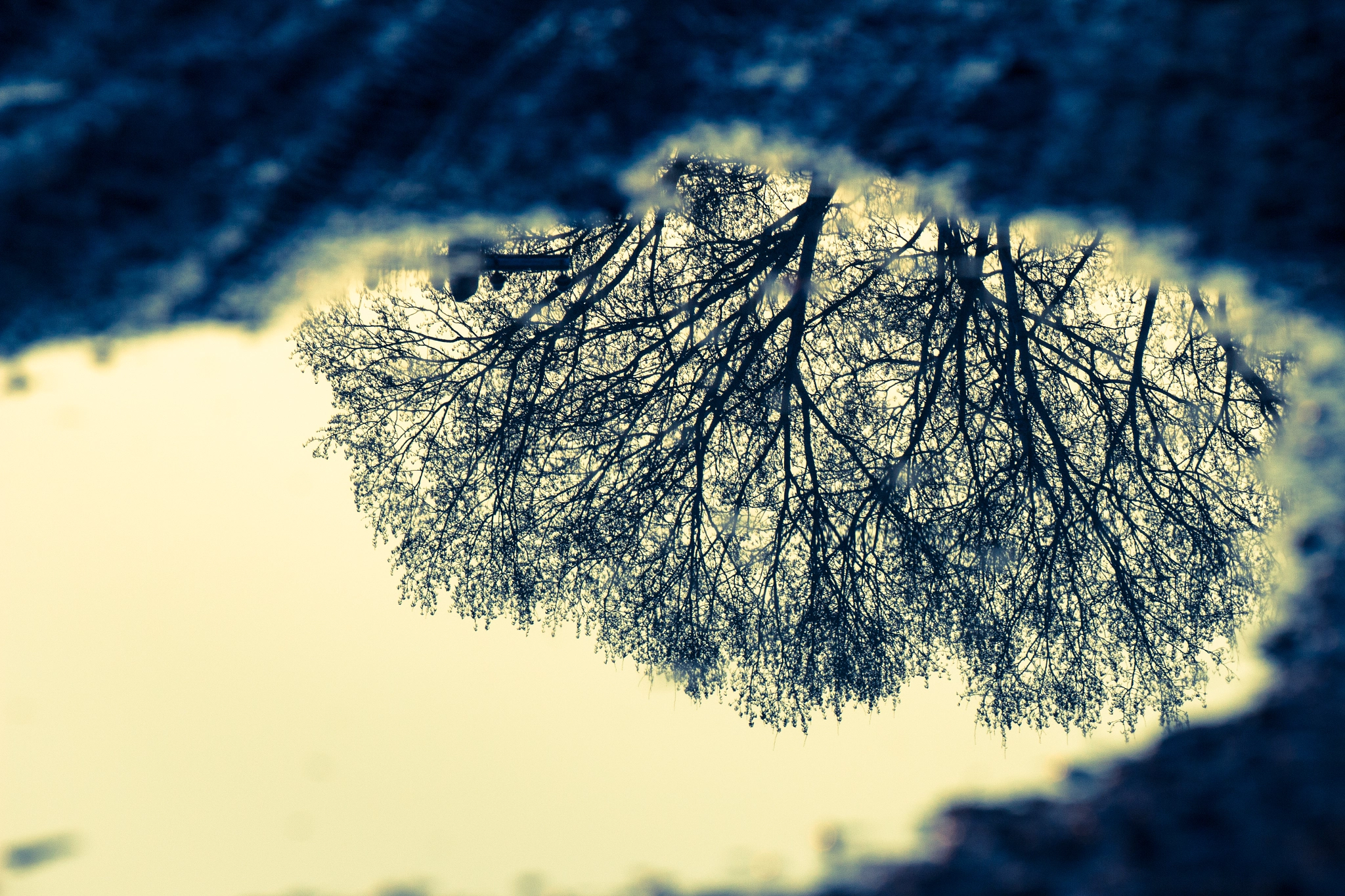 Canon EF 70-300mm F4-5.6L IS USM sample photo. Puddle photography