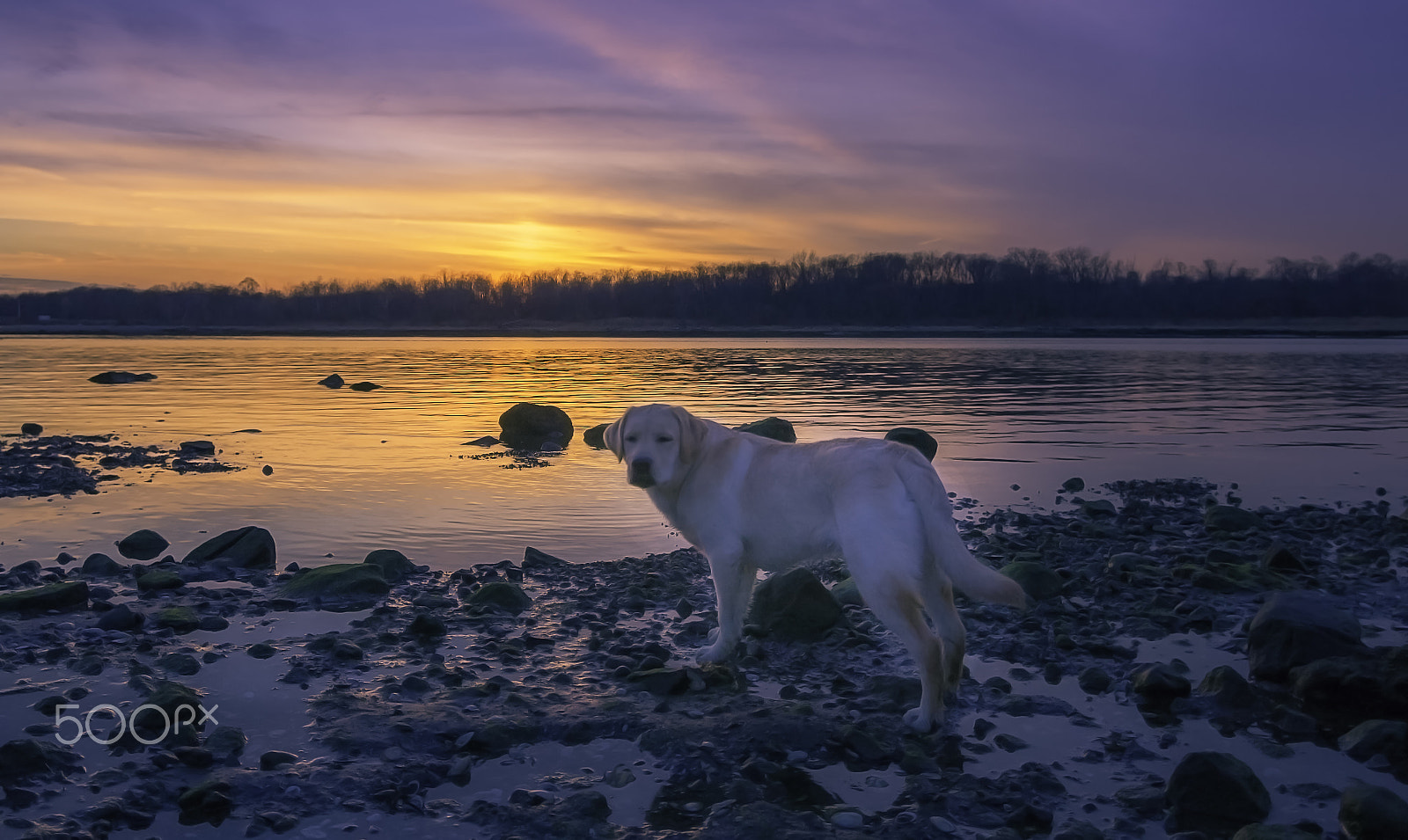 Canon EOS 1200D (EOS Rebel T5 / EOS Kiss X70 / EOS Hi) sample photo. Gunnar at sunset photography