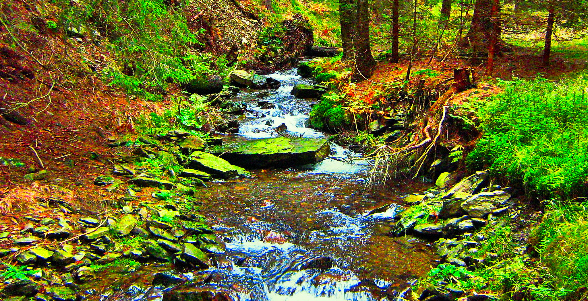 Canon POWERSHOT A430 sample photo. Khx31 photography