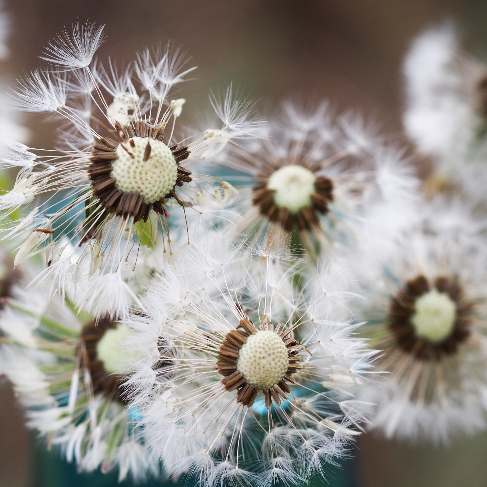 Olympus PEN E-PM2 sample photo. Hold your sneeze photography