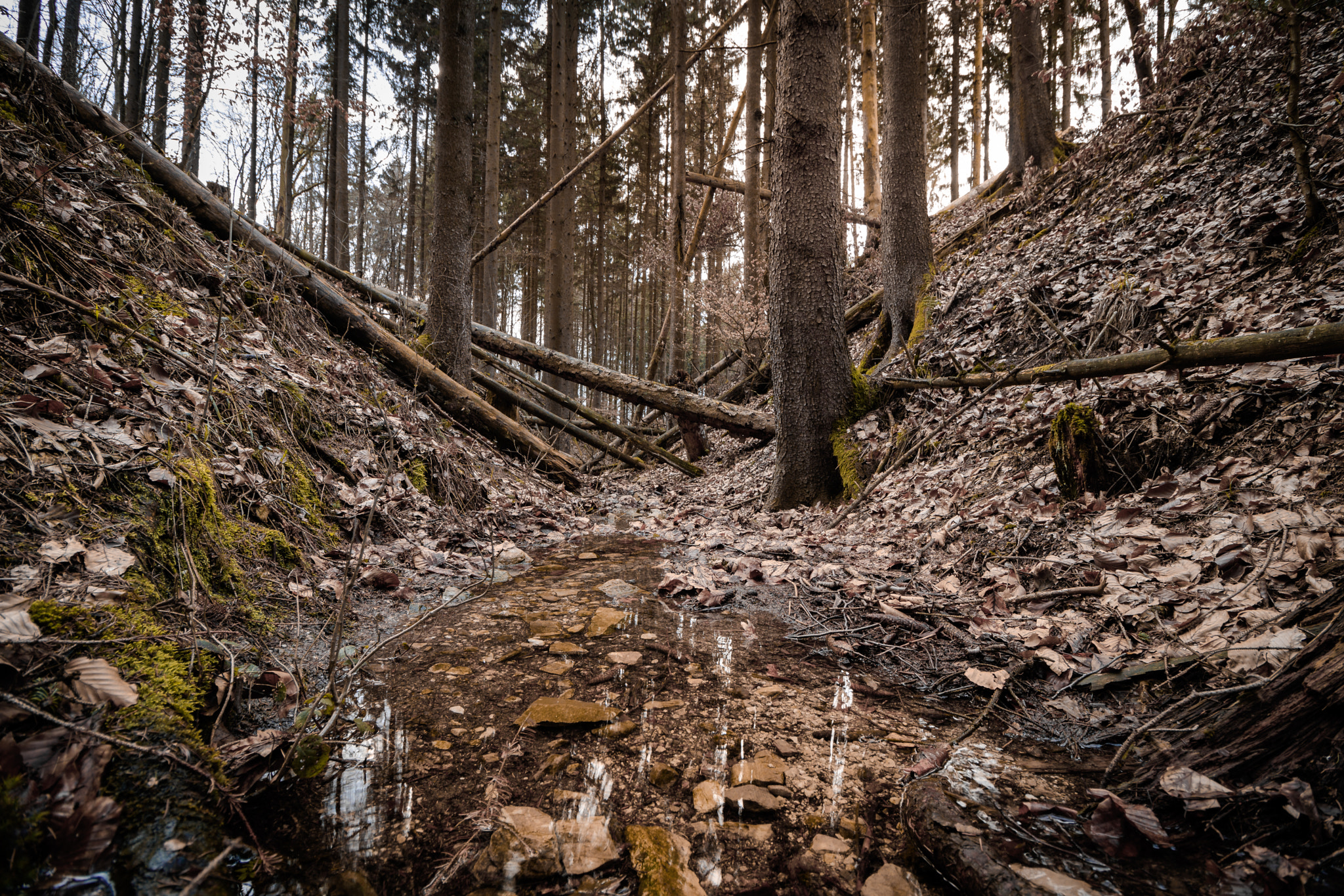 Canon EF-S 10-18mm F4.5–5.6 IS STM sample photo. Spring tones photography