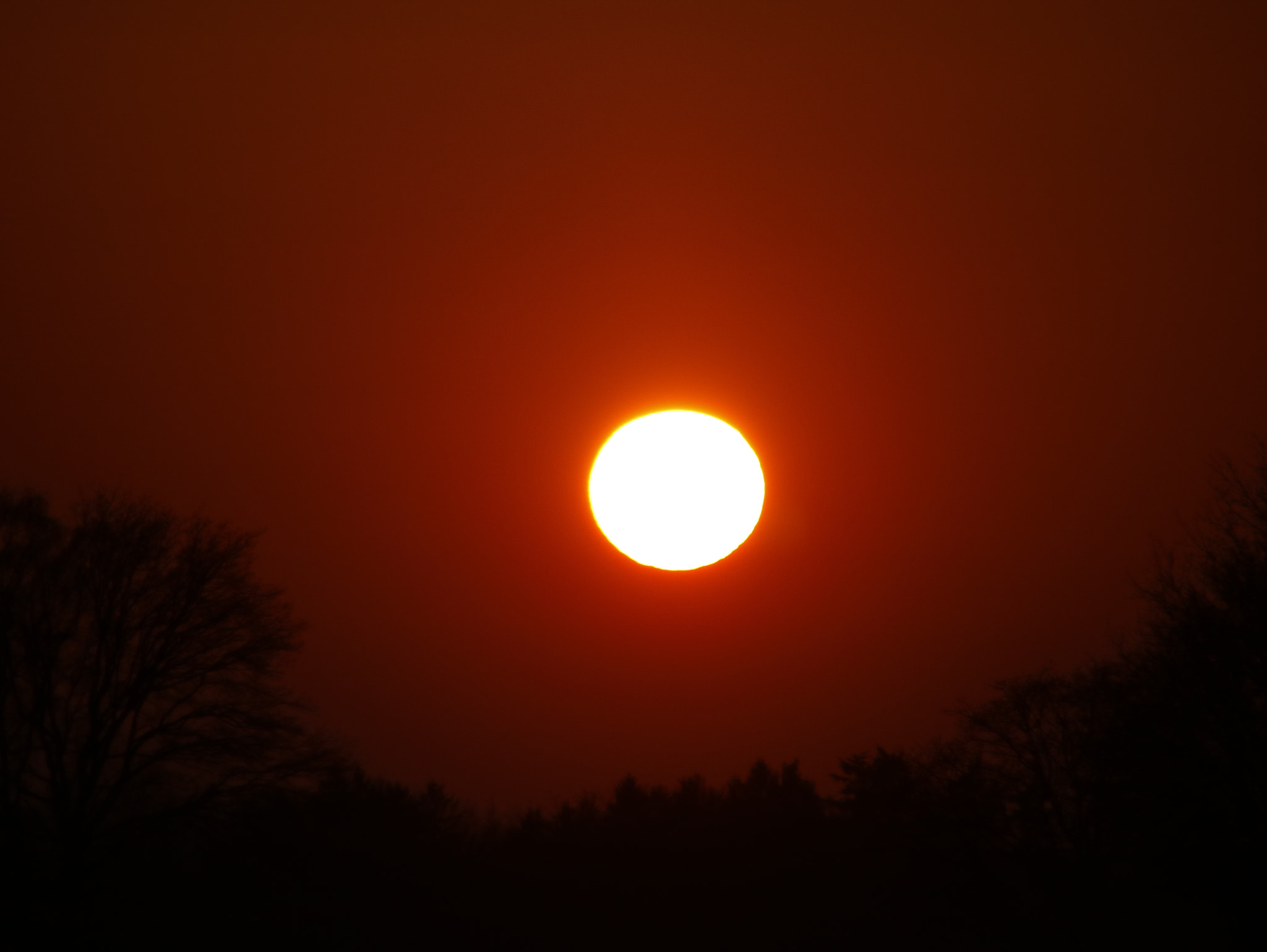 Canon EOS 760D (EOS Rebel T6s / EOS 8000D) sample photo. Zonsondergang 13-03-16 photography