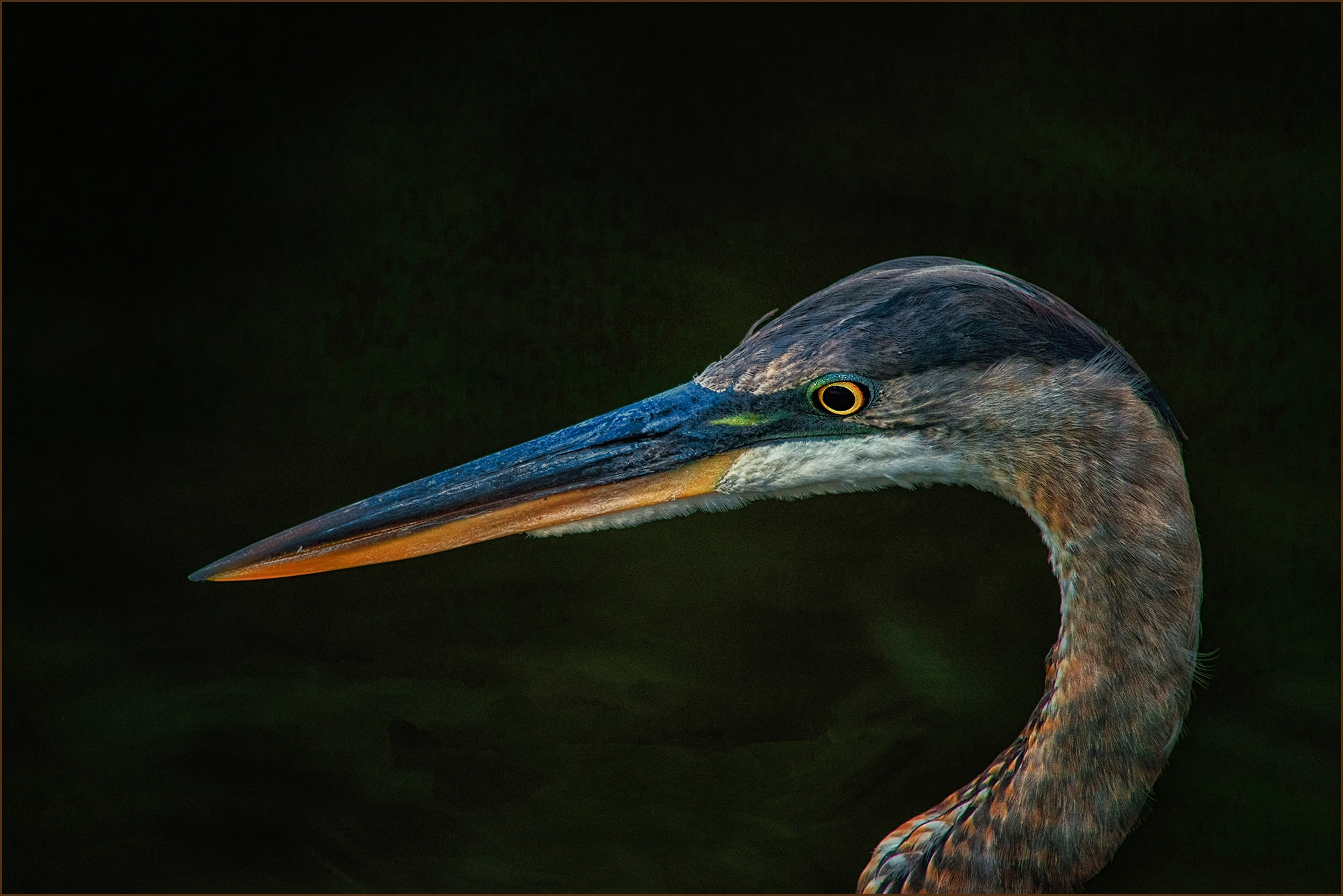 Nikon AF-S Nikkor 200-400mm F4G ED-IF VR sample photo. Everglades national park florida photography