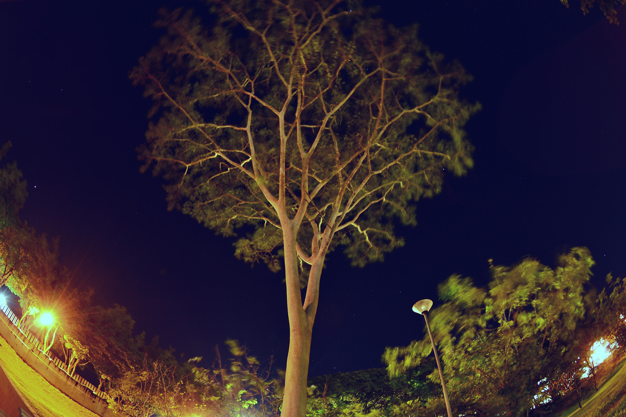 Nikon AF DX Fisheye-Nikkor 10.5mm F2.8G ED sample photo. Bromazepam & diazepam nº4 photography