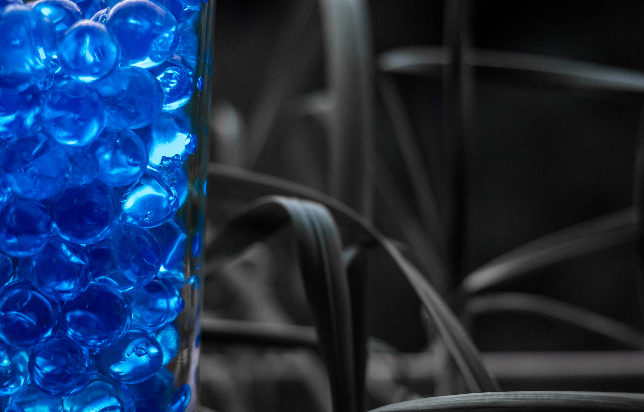 Canon EF 40mm F2.8 STM sample photo. Brilliant blue photography